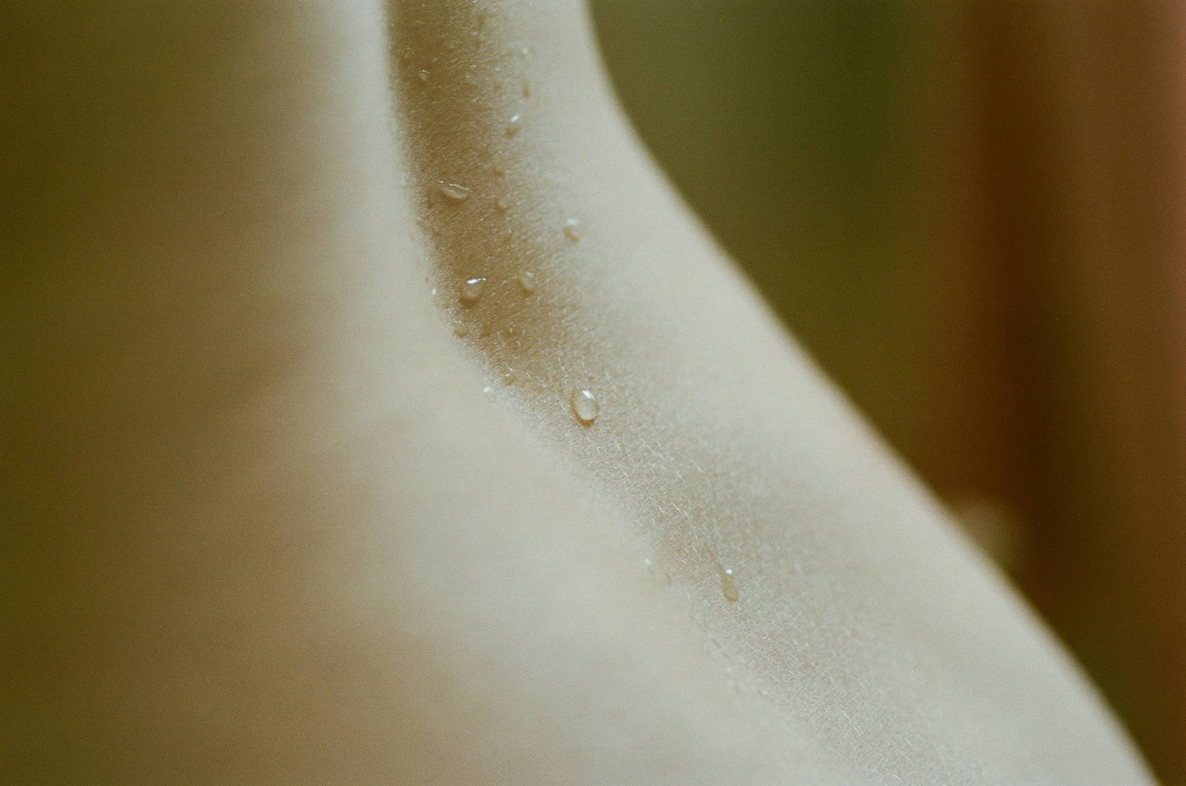 1216x806x2-4.jpg