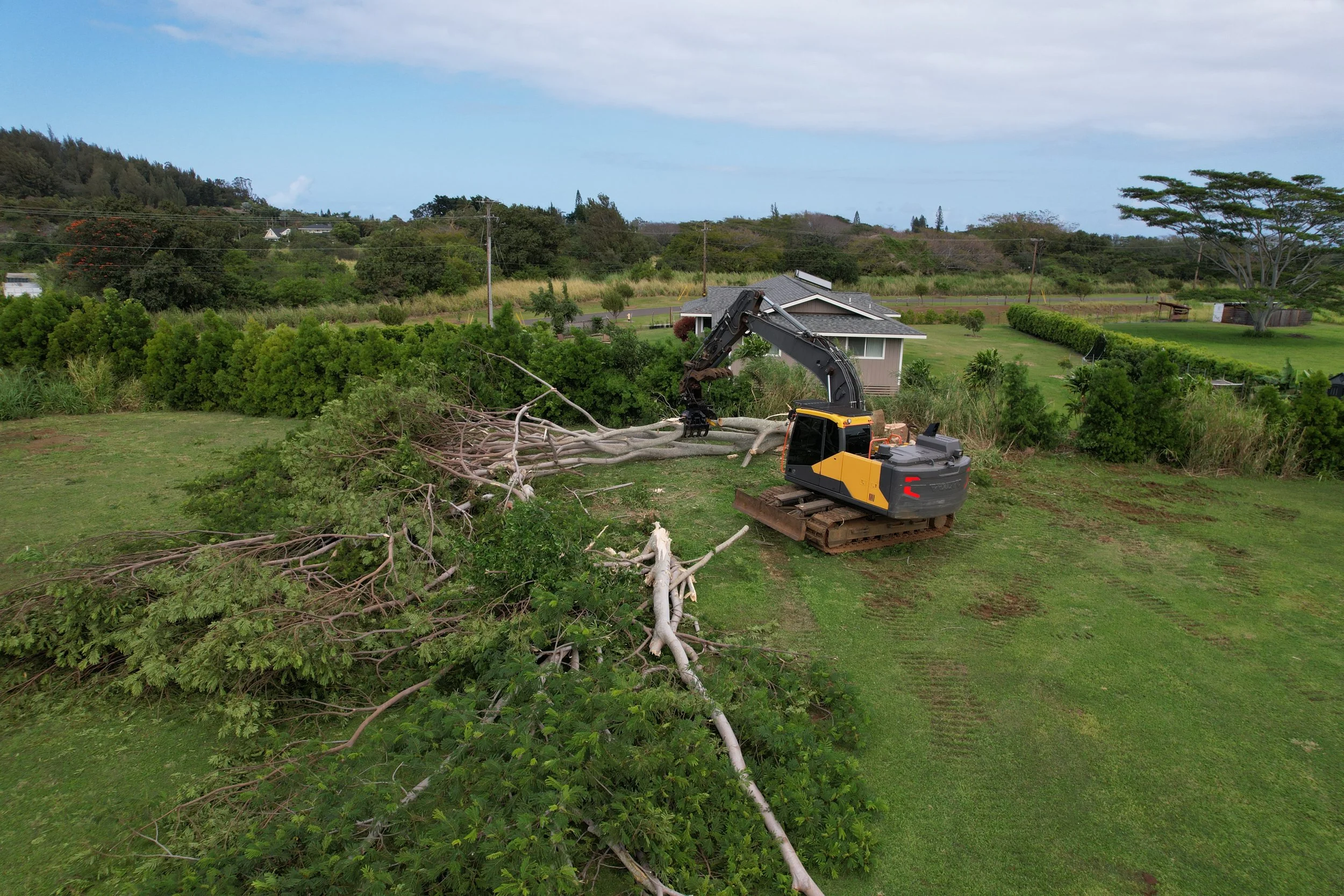 Excavator cutting down trees in a grassy area near a small house, with a wooded background and blue sky.
