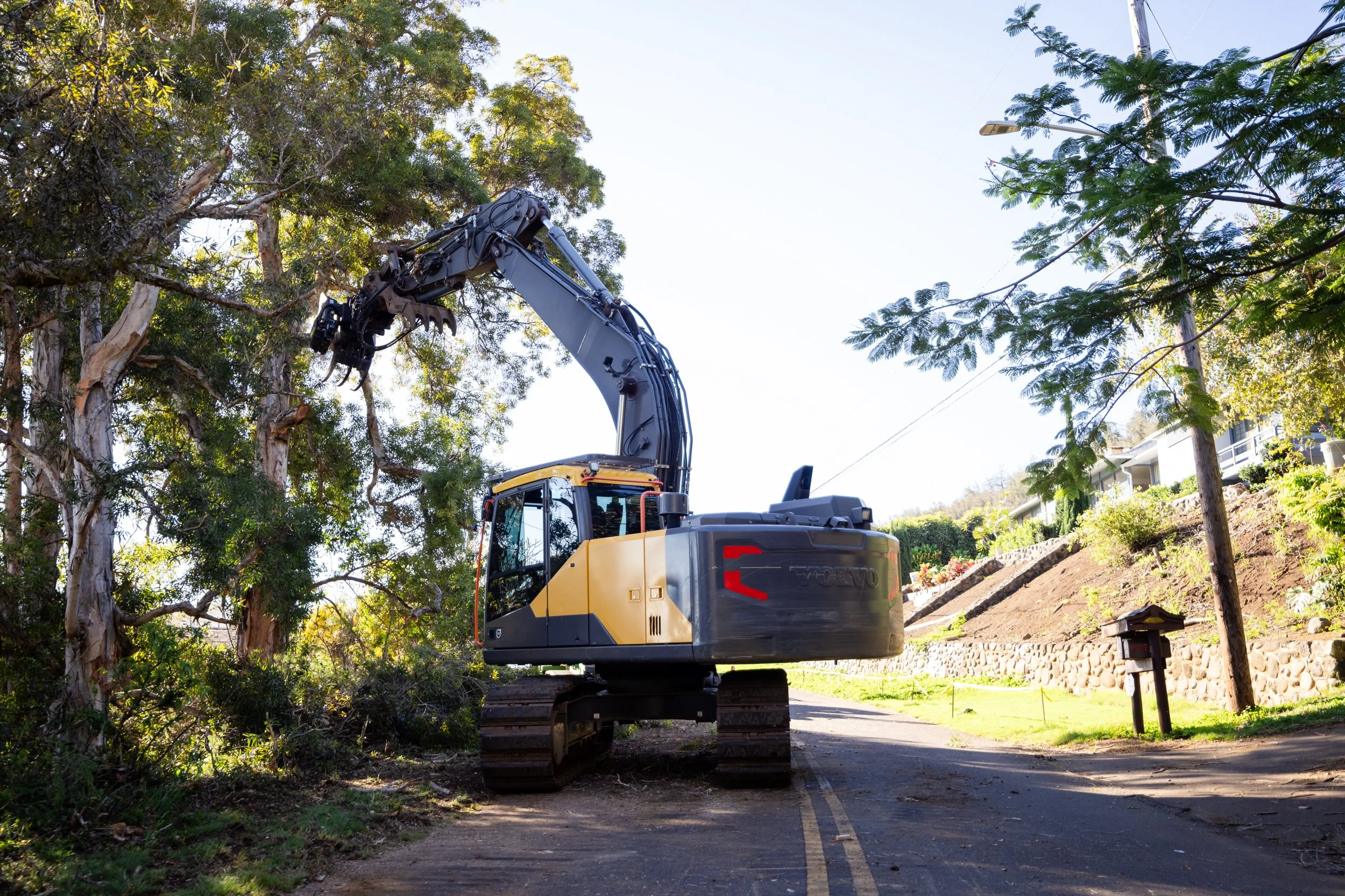 An excavator cutting tree branches on a roadside.