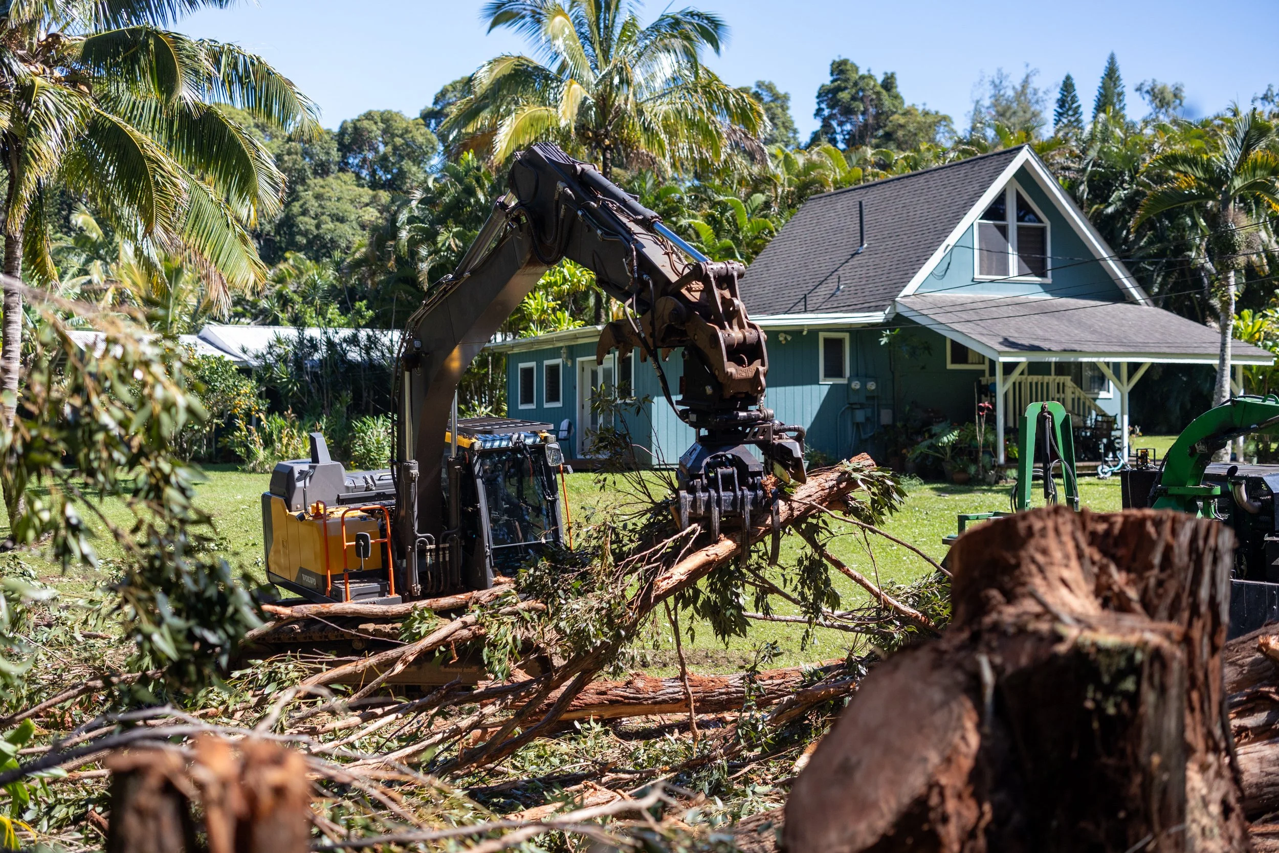 Excavator clearing fallen trees near a blue house with palm trees in the background.