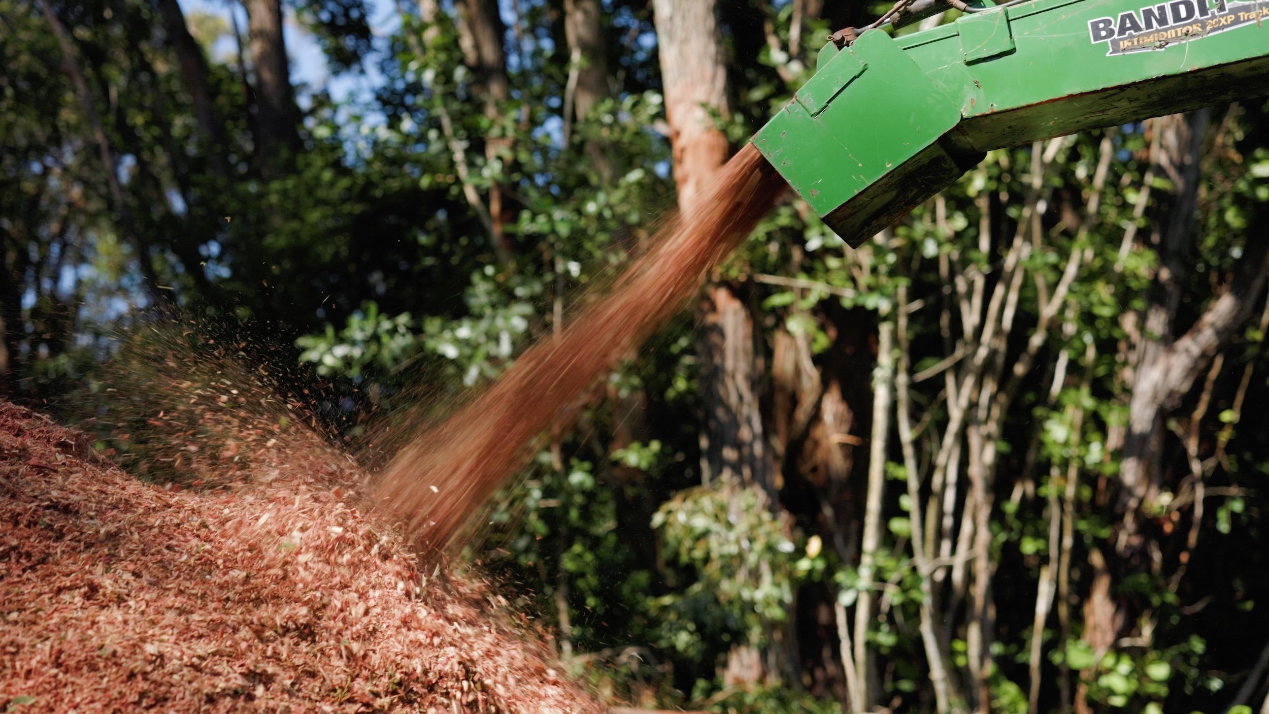 Wood chipper discharging wood chips in a forest setting