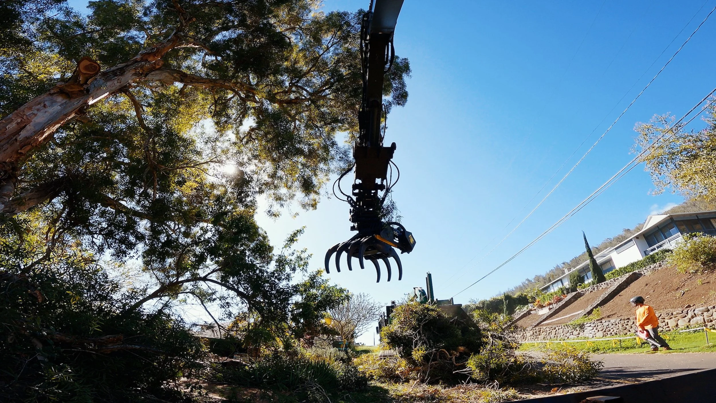Large mechanical grabber arm removing tree branches, with a person in orange workwear on the sidewalk, and residential houses in the background under a clear blue sky.
