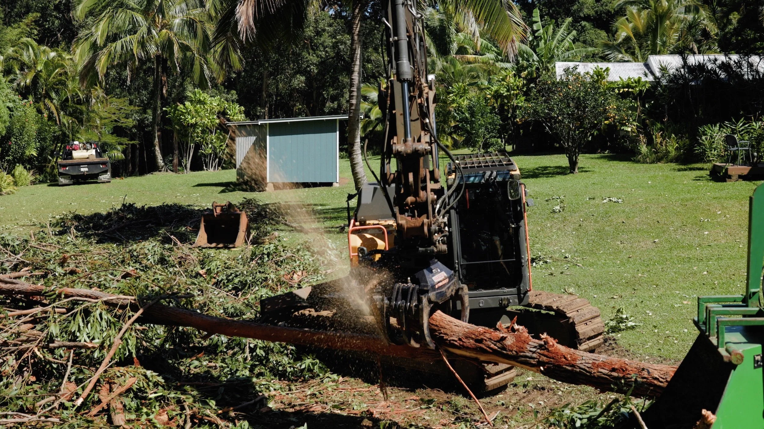 A wood chipper shredding a tree trunk on a grassy yard surrounded by tropical trees and a small blue shed.