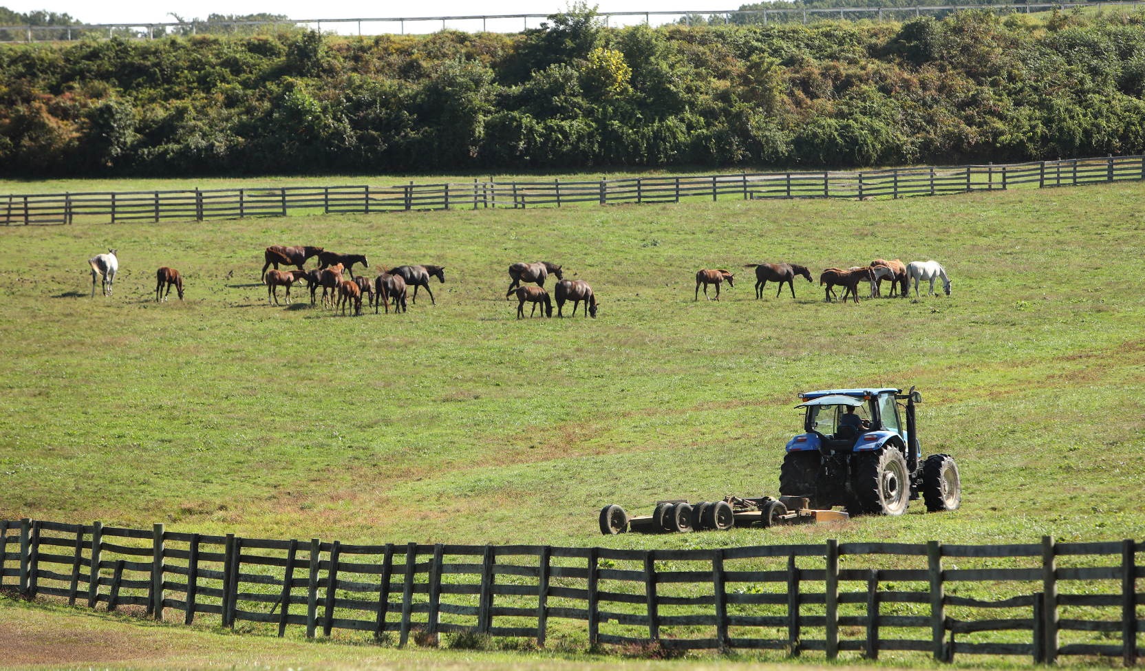 About | Meet the People of Bonita Farm — Bonita Farm