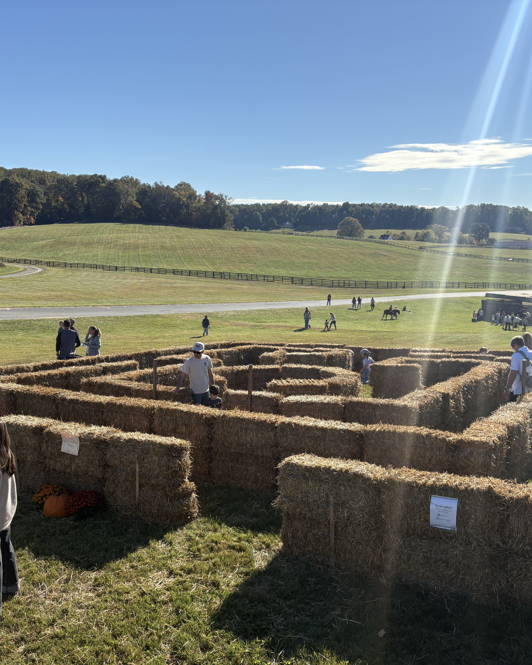 hay-maze-bonita-farm-event-horse-farm.png