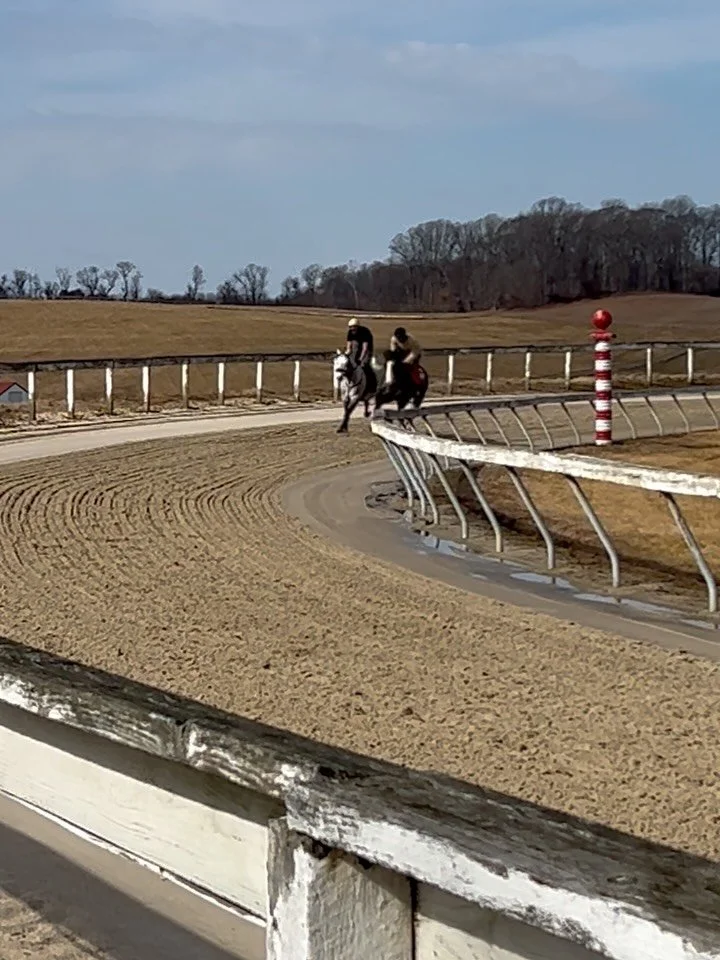Things are thawing so our Jumpers finally getting on the track&hellip;and enjoying a post workout roll in the mud 🤭

#marylandracing #thoroughbred #horses #horseracing