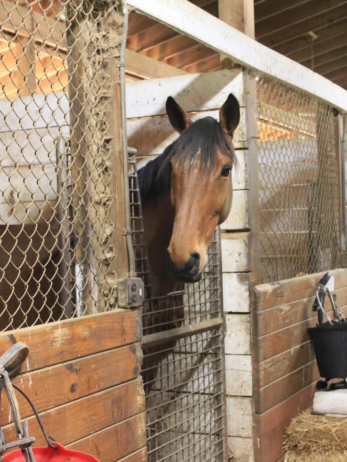 Explore training at Bonita Farm! 

Our racing division is devoted to you and your horses in a way that is both personalized and unique, made possible by our own first-class facilities for breaking, training, and boarding. These include:

&bull;5/8 mi