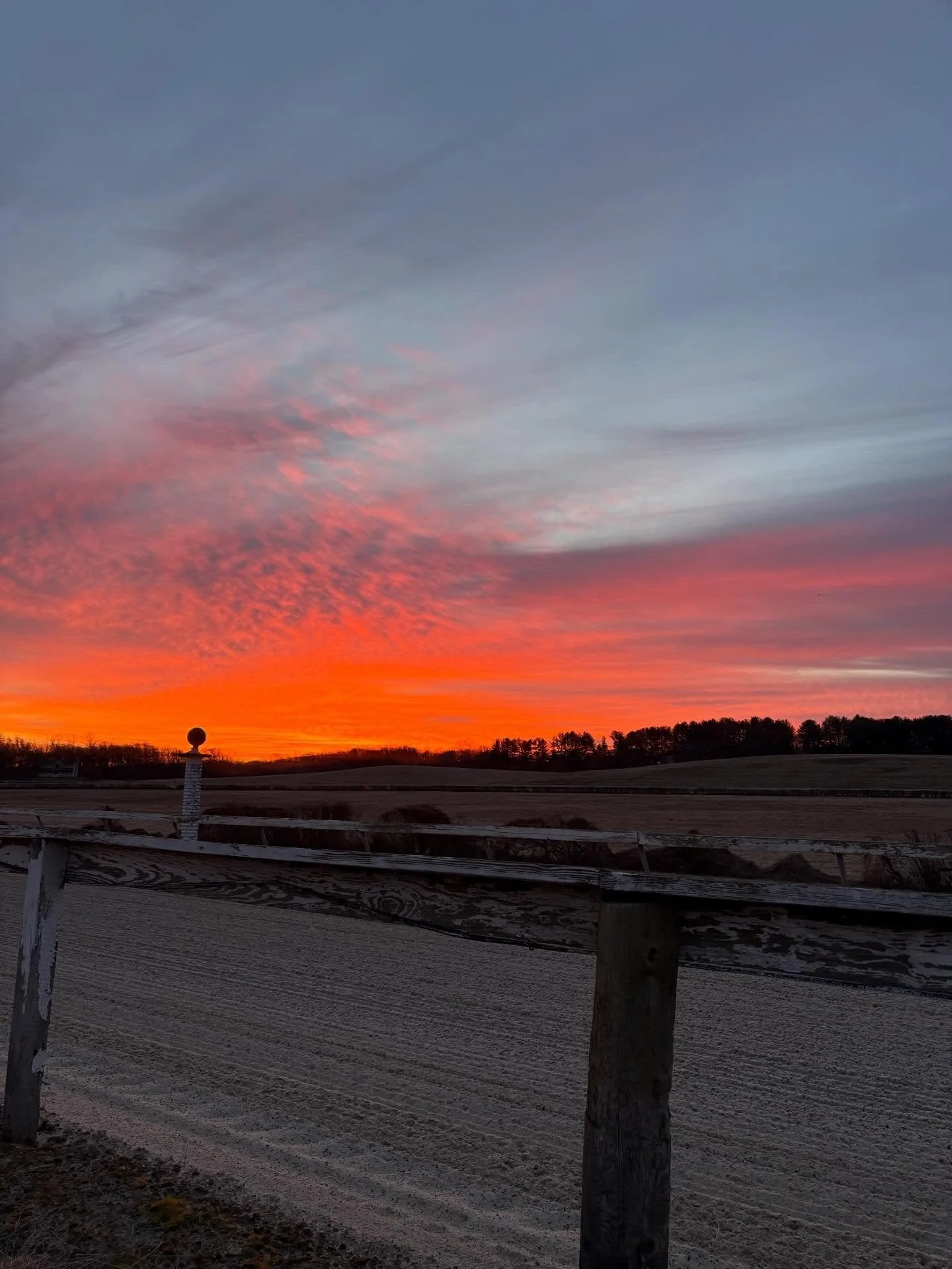 Our little slice of Heaven 🌅

#horseracing #bonitafarm #thoroughbred #retiredracehorse #horseboarding