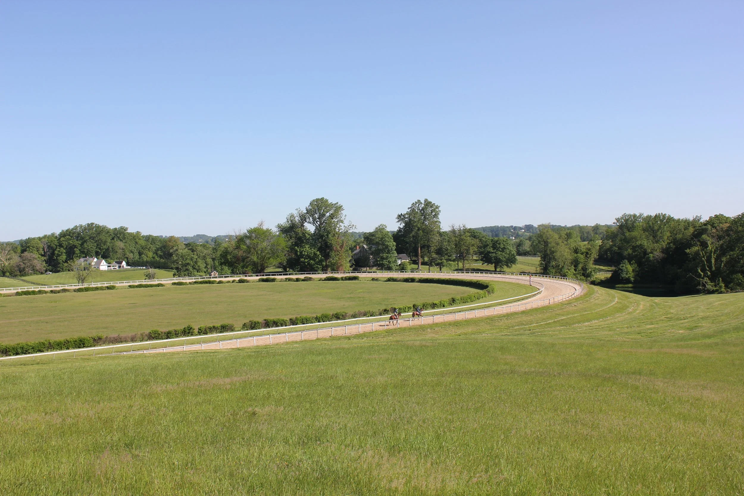 horse-training-track-bonita-farm-harford-county-maryland-thoroughbreds.JPG