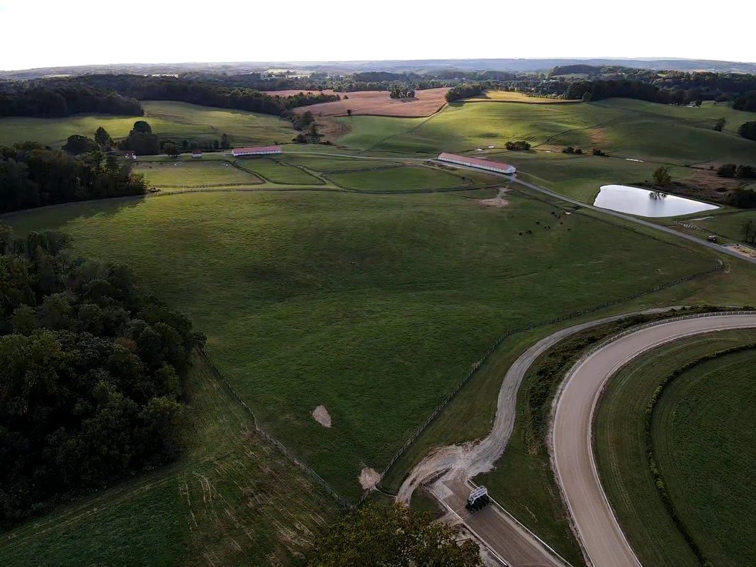 layups-services-thoroughbred-horse-racing-bonita-farm-darlington-maryland.png