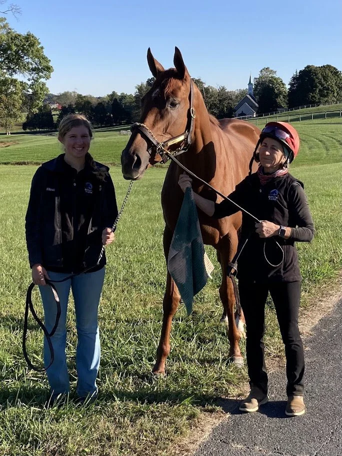 horse-welfare-boarding-bonita-farm-maryland.jpg