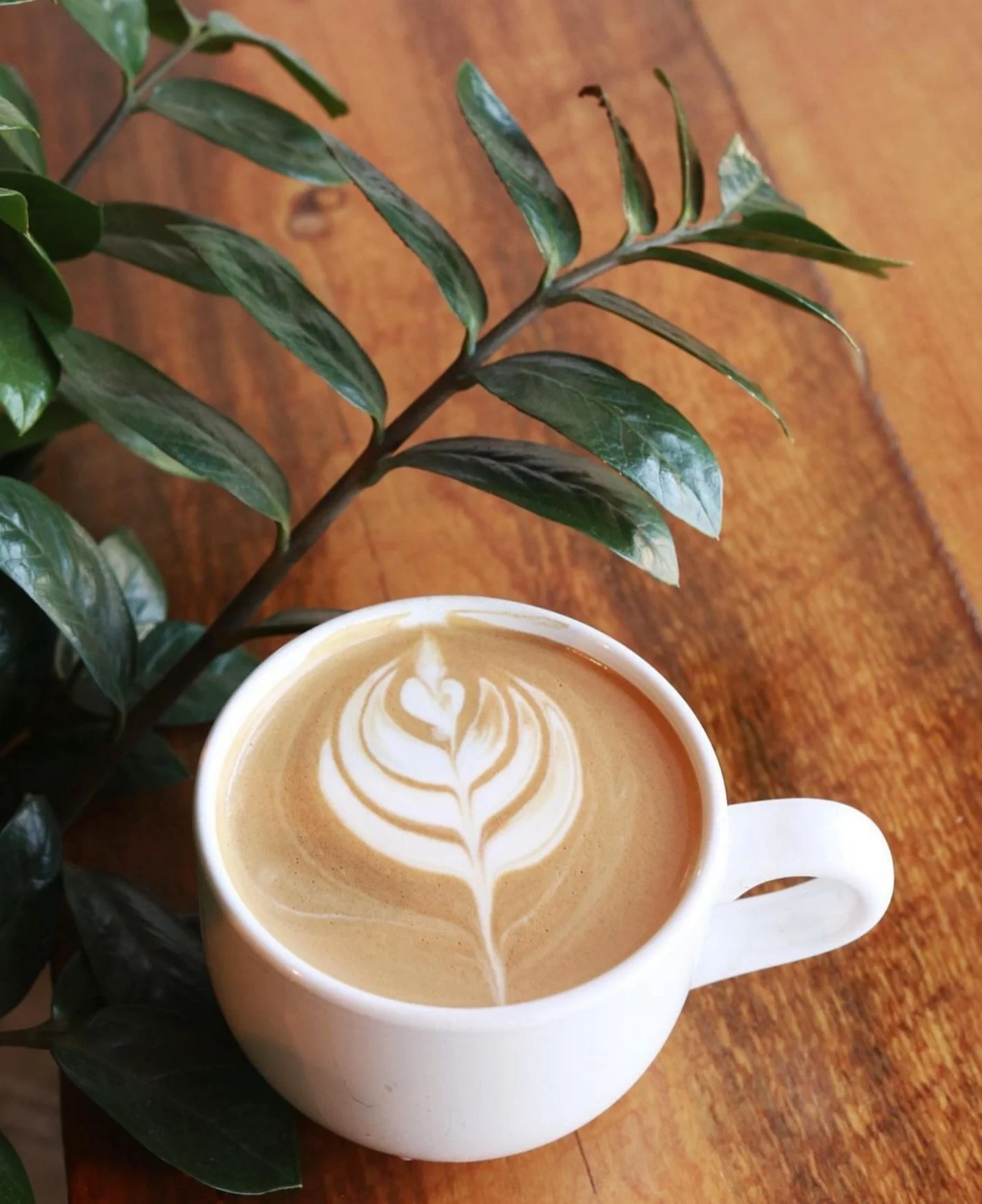 Nixon's Coffee House