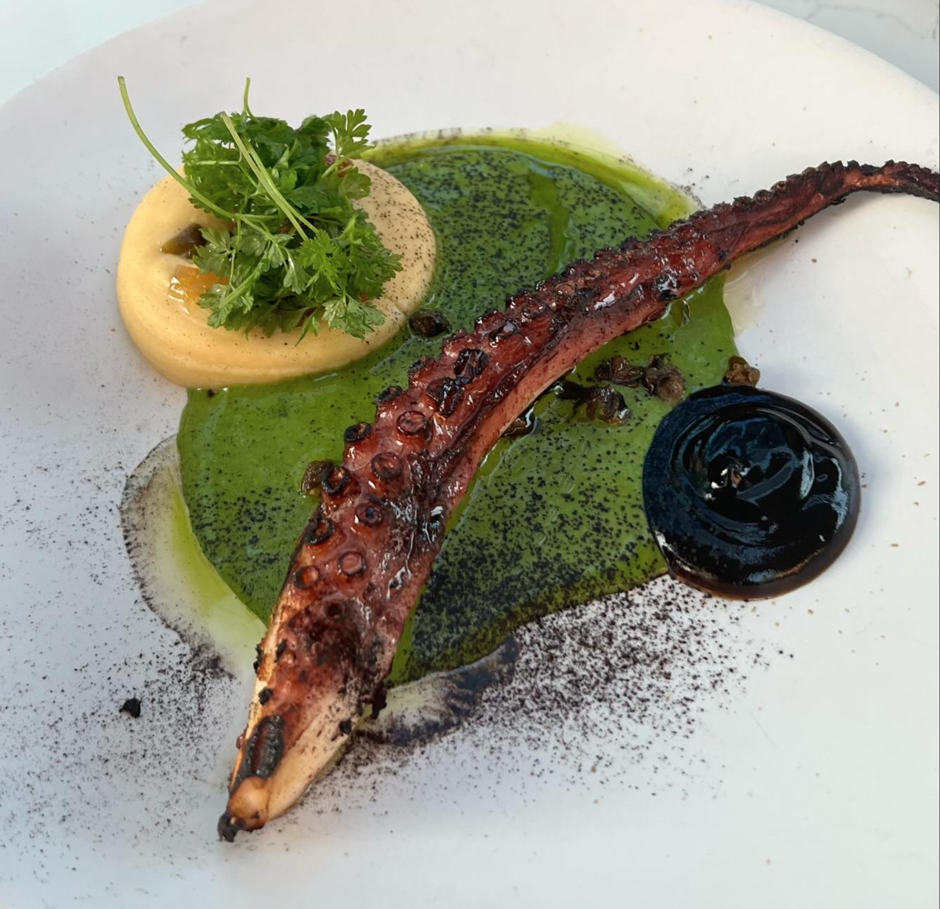 Screen Shot 2025-03-13 at 5.42.13 PM.png