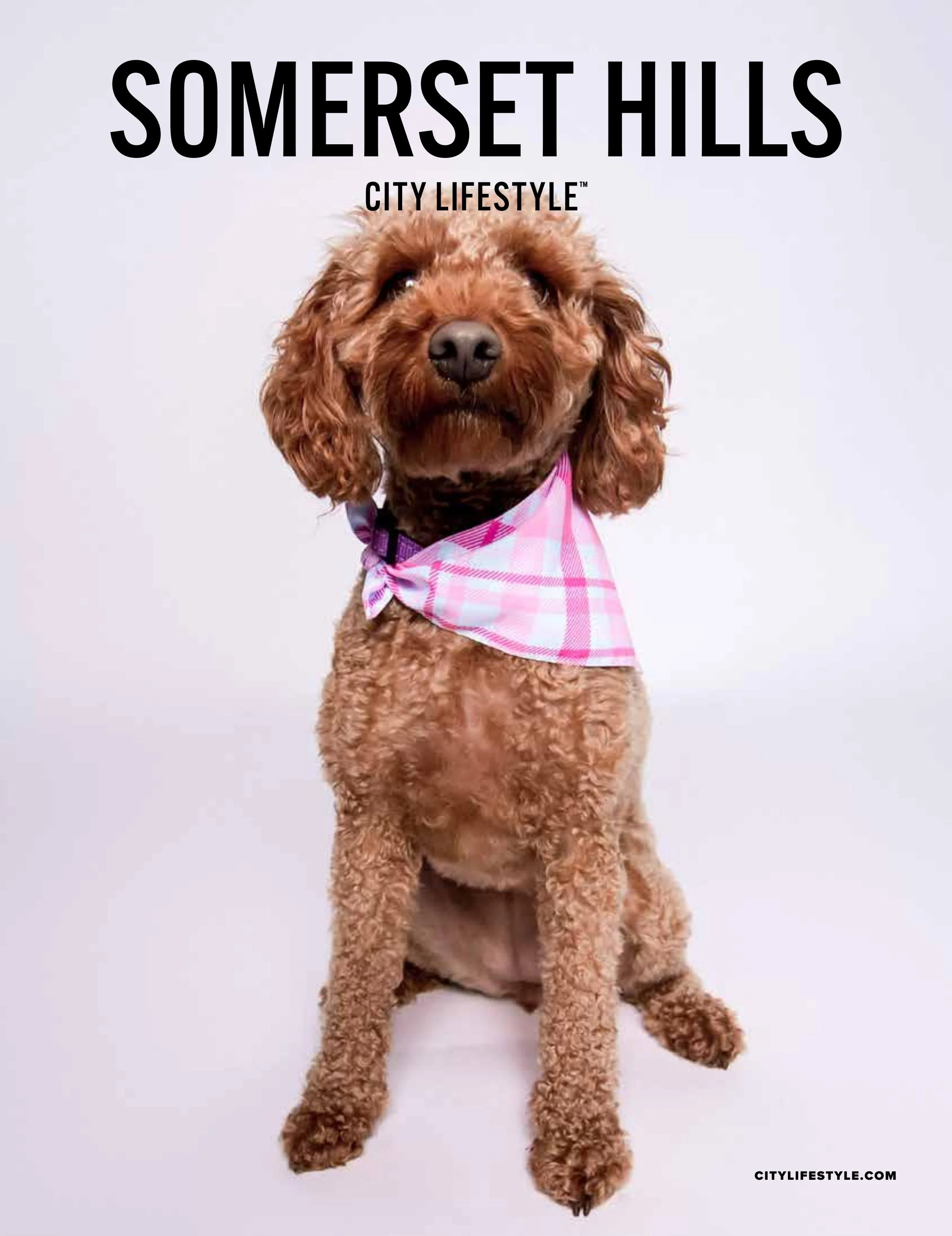 Somerset Hills Magazine