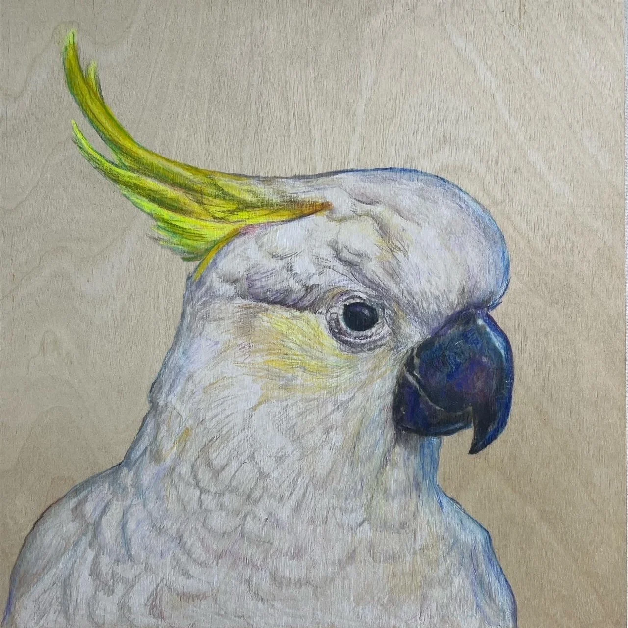 'Pretty Boy' - Original Drawing on Panel