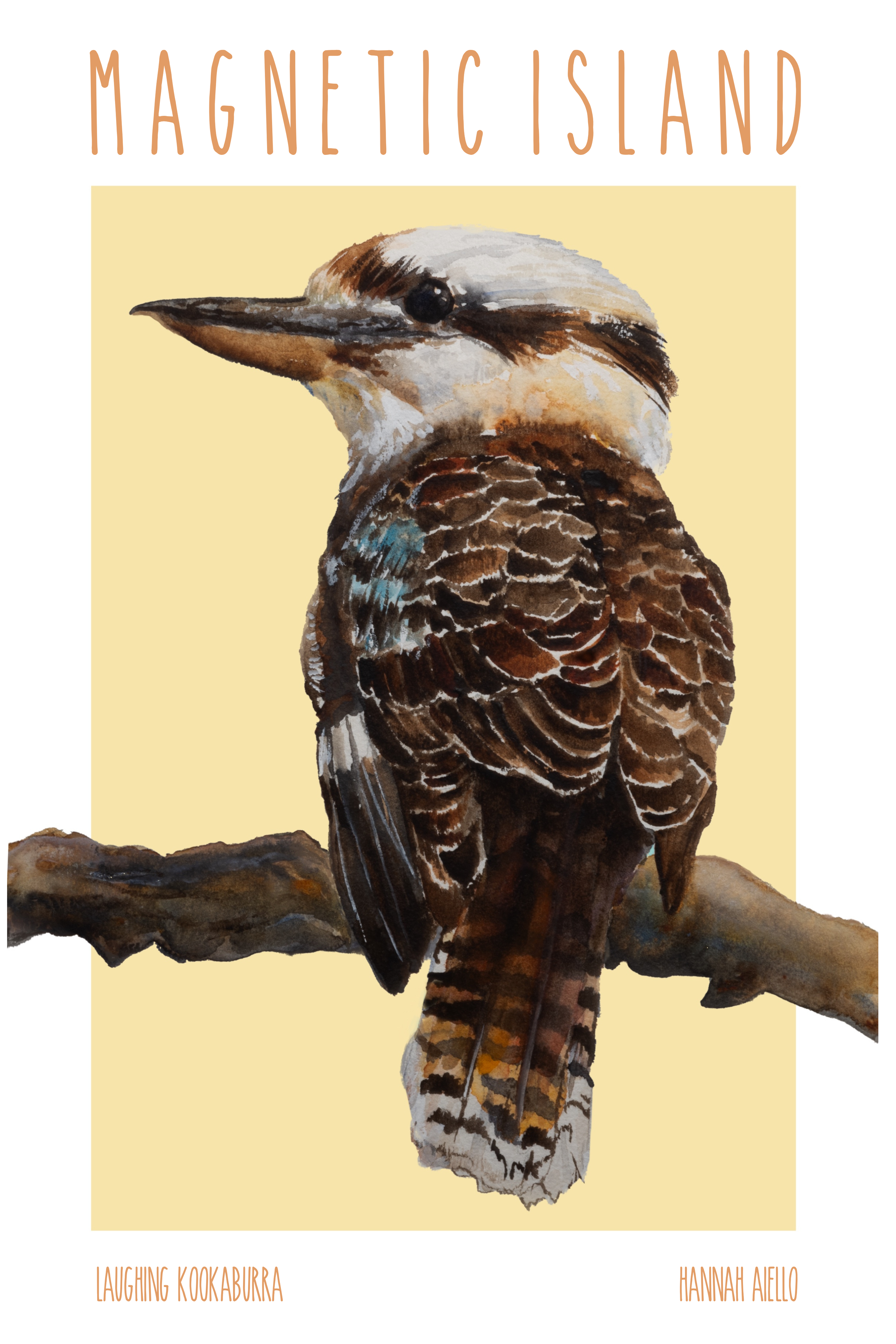Kookaburra TT.png