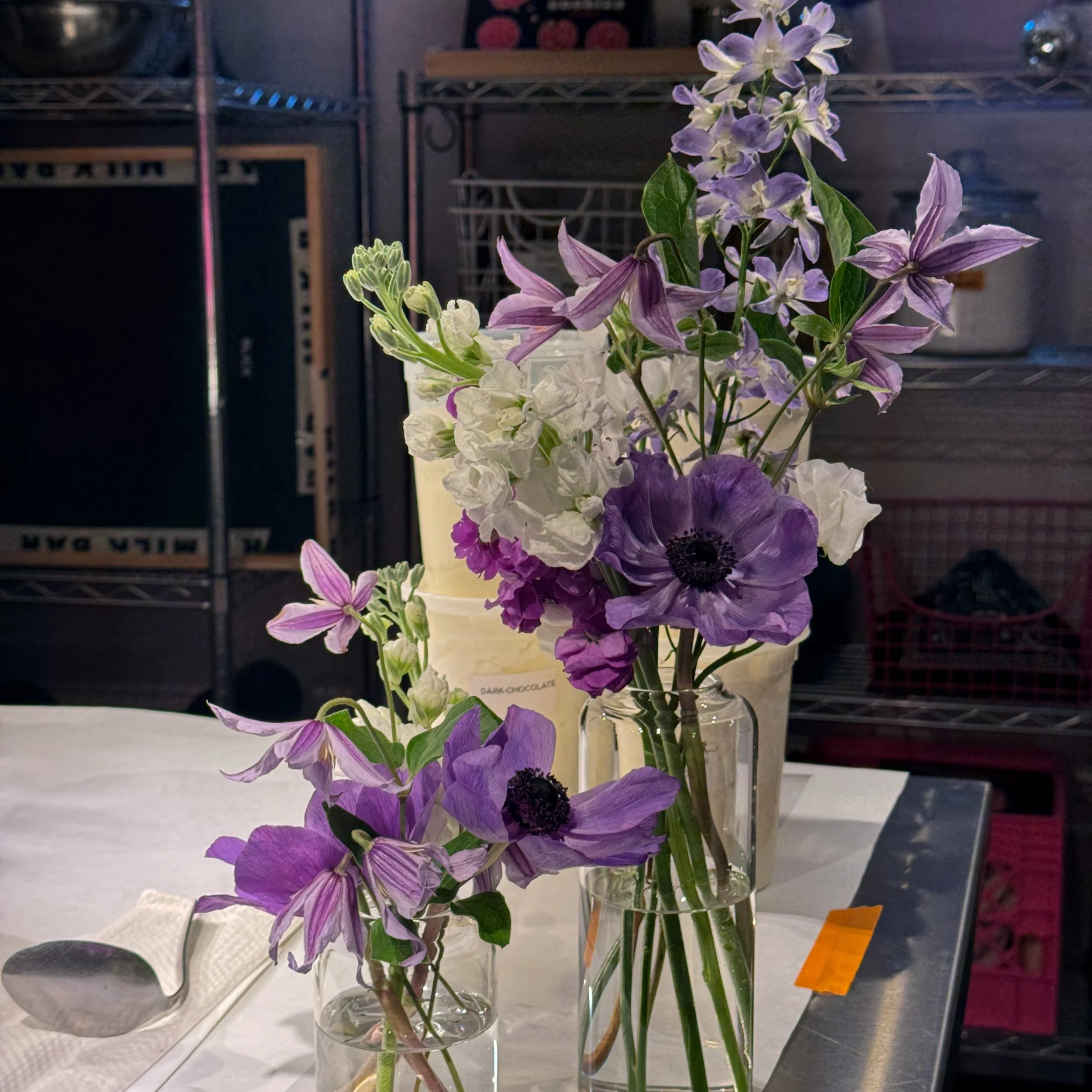IMG_0293.png