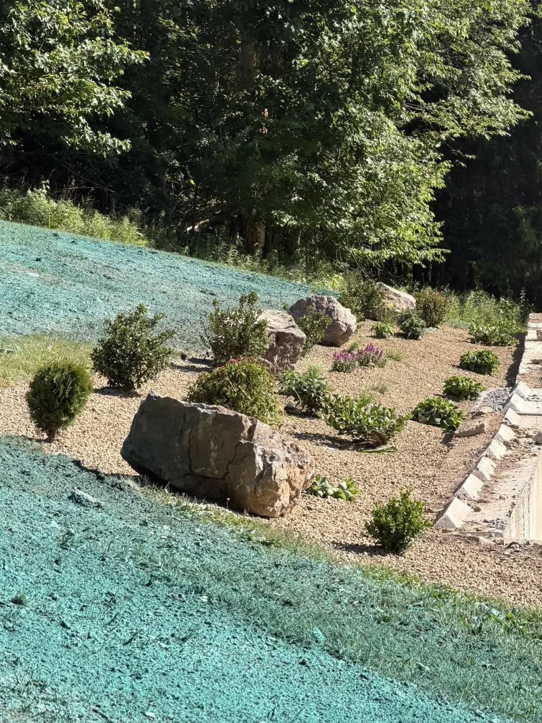 hillside garden and hydroseed.jpg