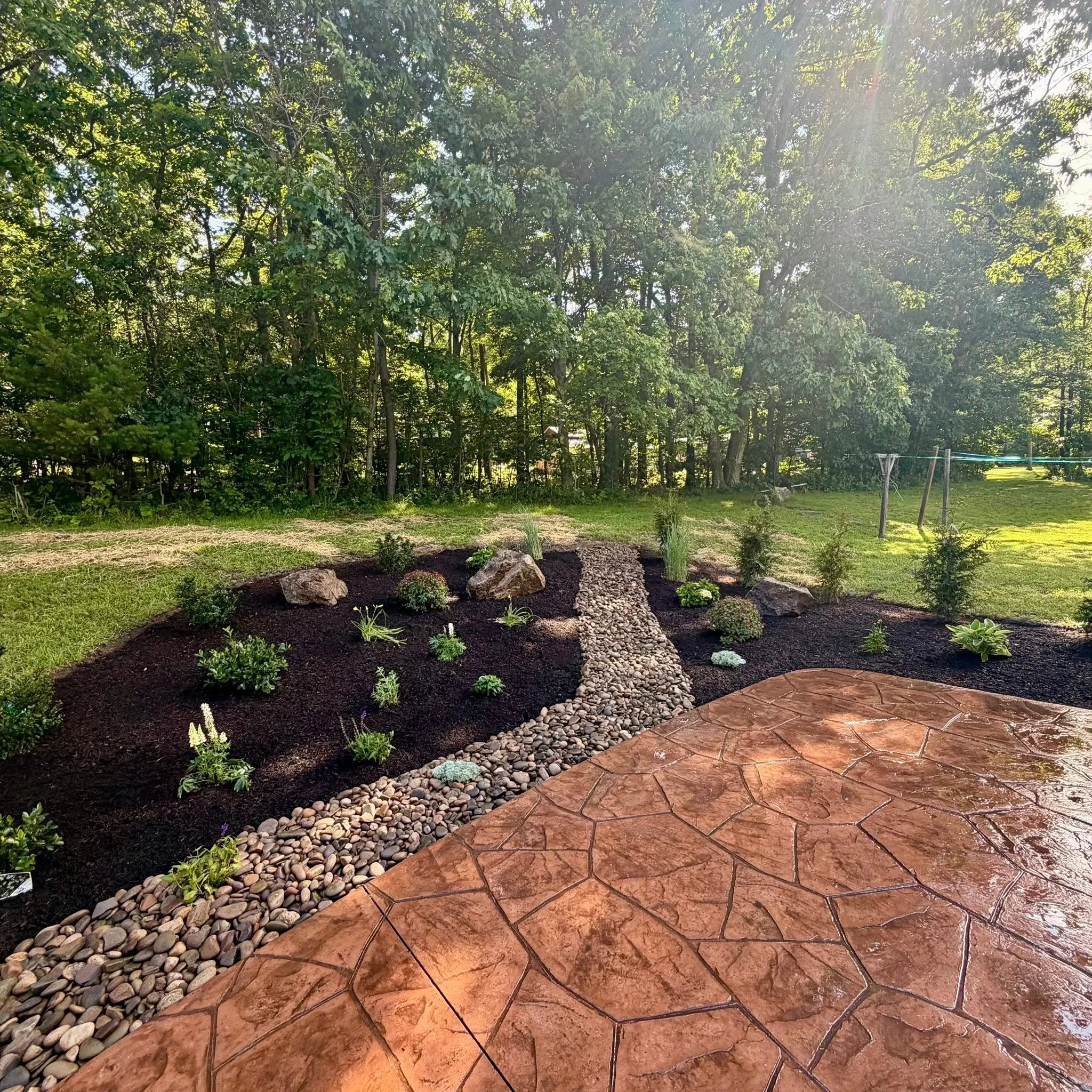 hillside plants and stone.jpg