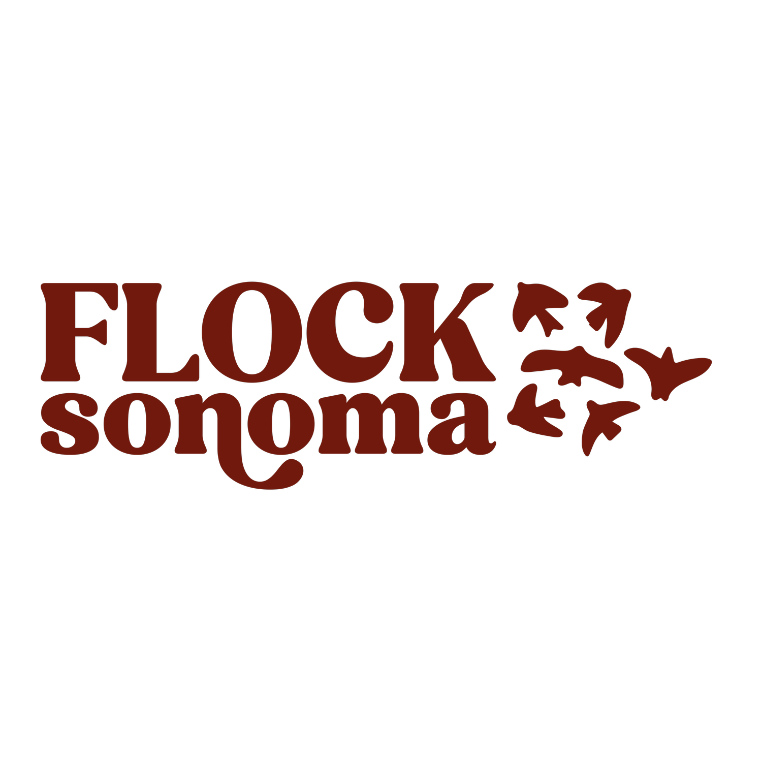 FLOCK Sonoma 