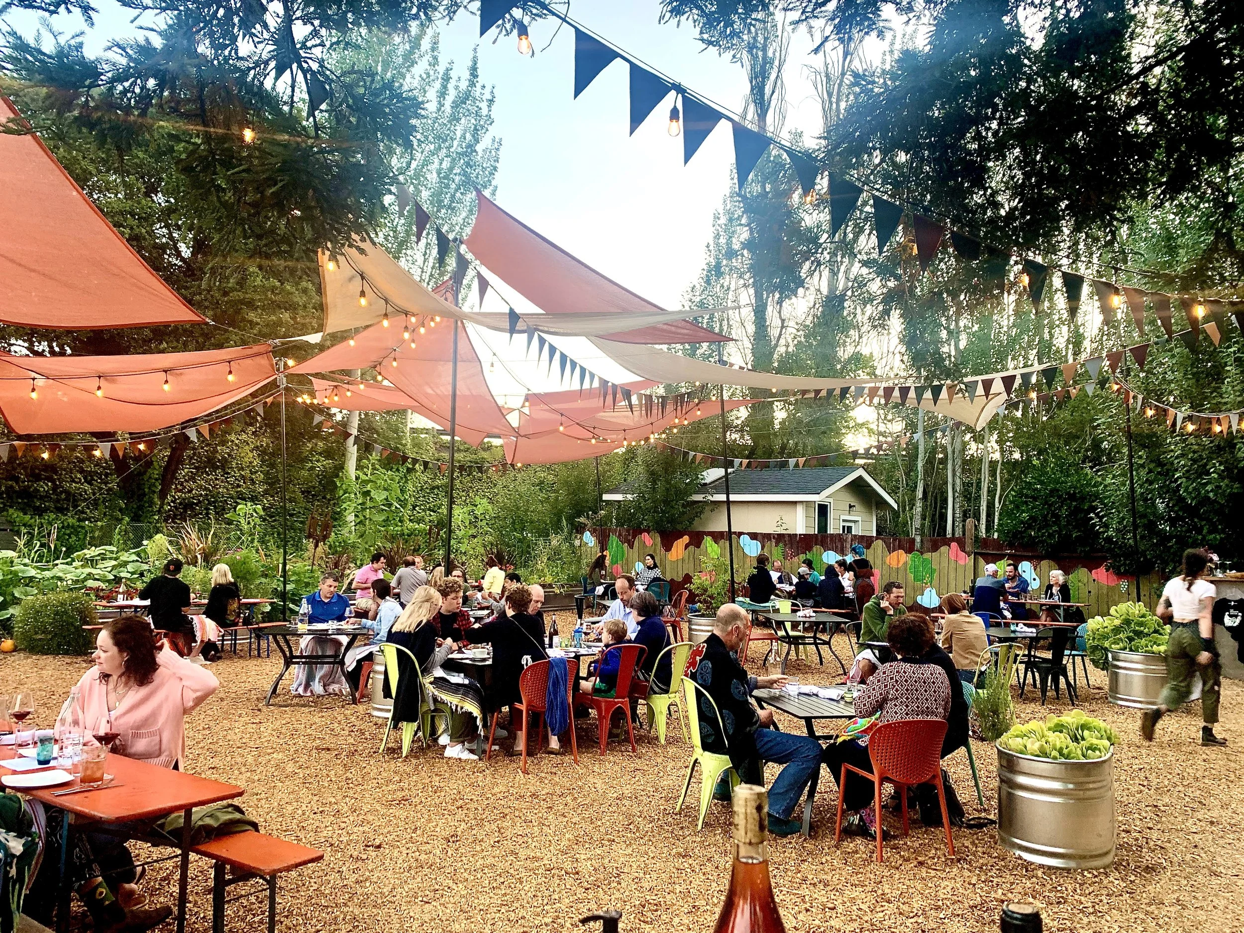 The Spinsters Sisters - Sonoma Wine Country