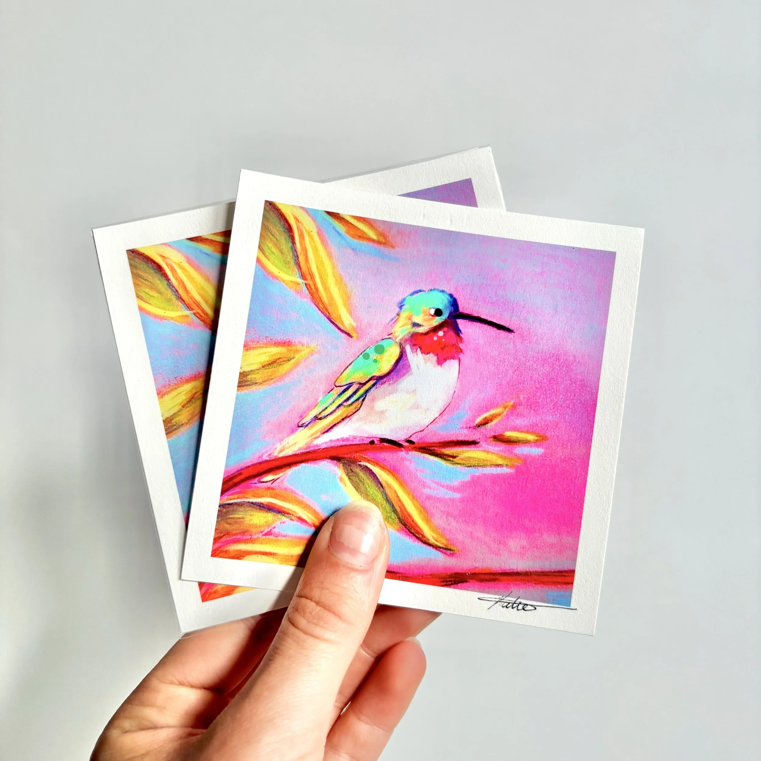 Hummingbird Sketch