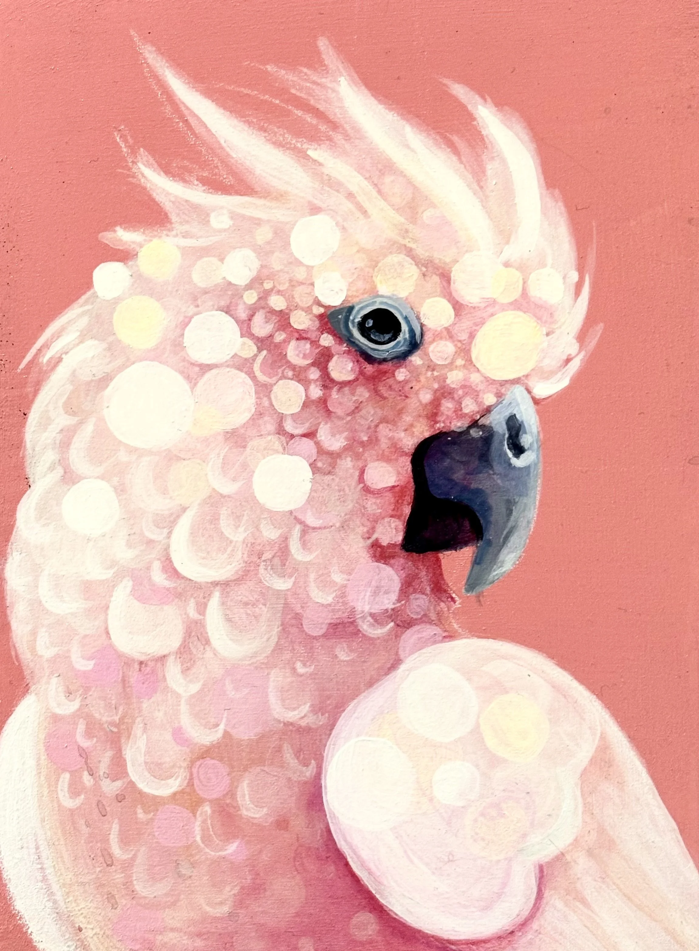 Cockatoo:
Acrylic on wood