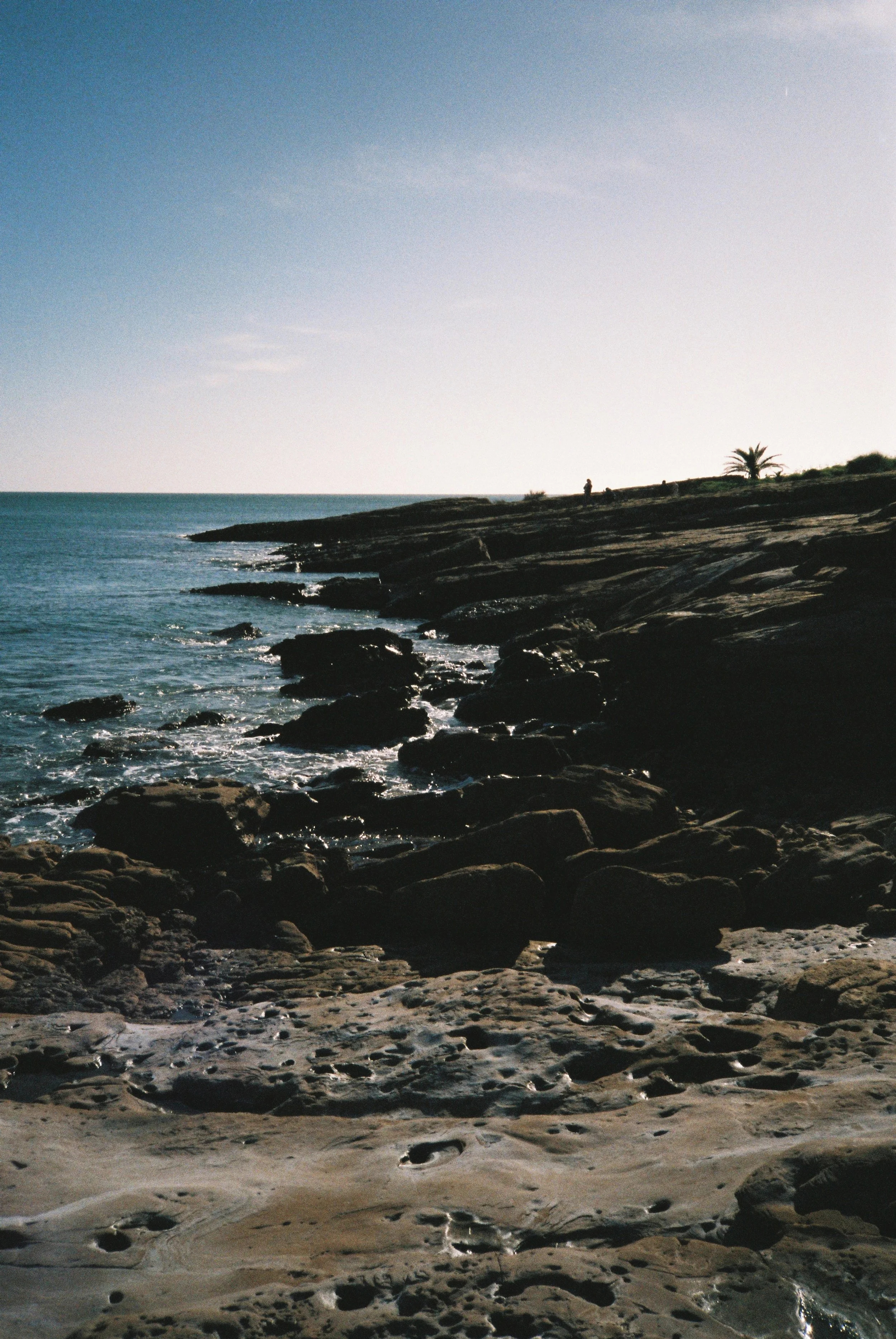 IMG_2662.jpeg