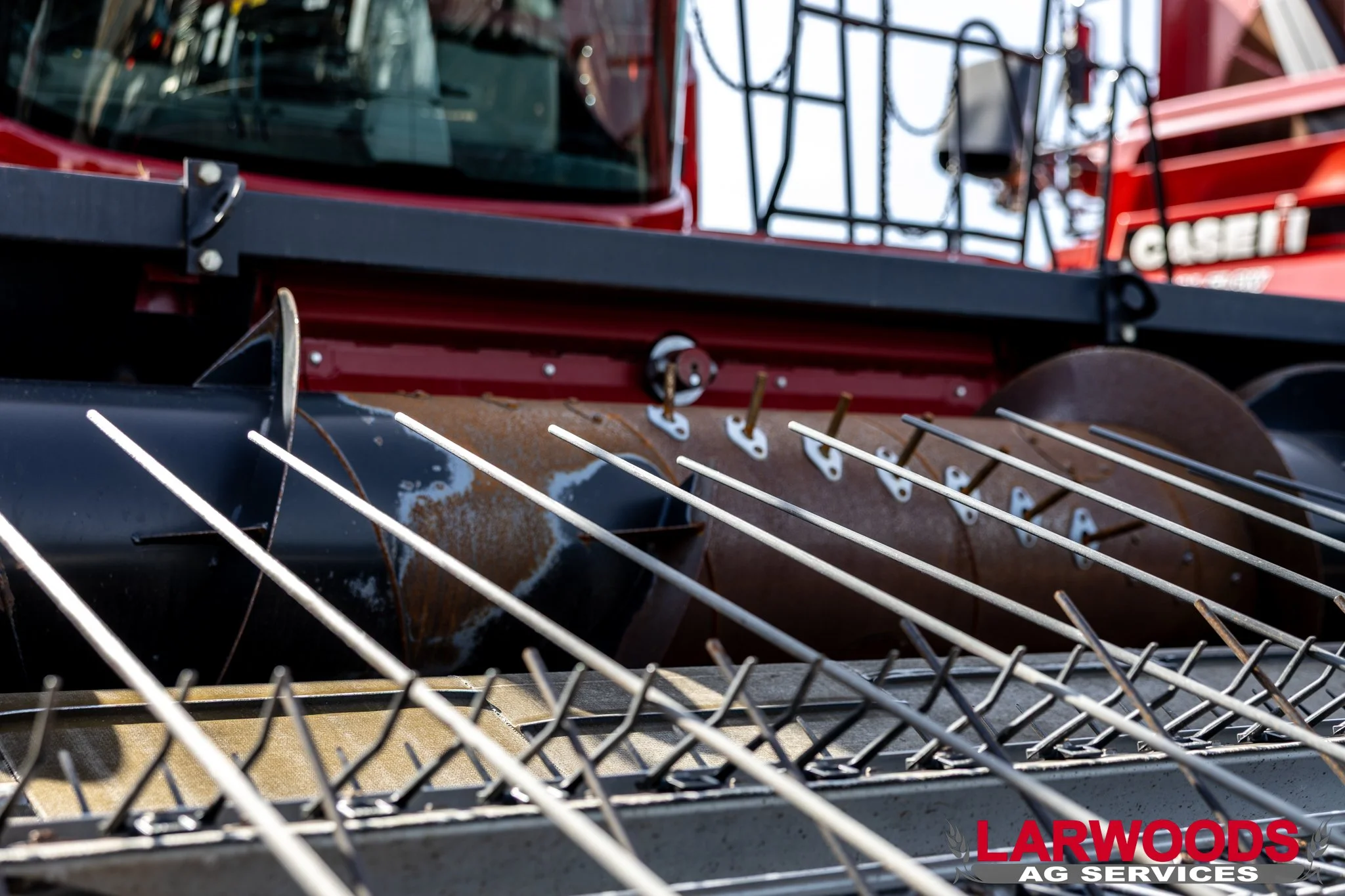 Phillips Rake Up-2.jpg