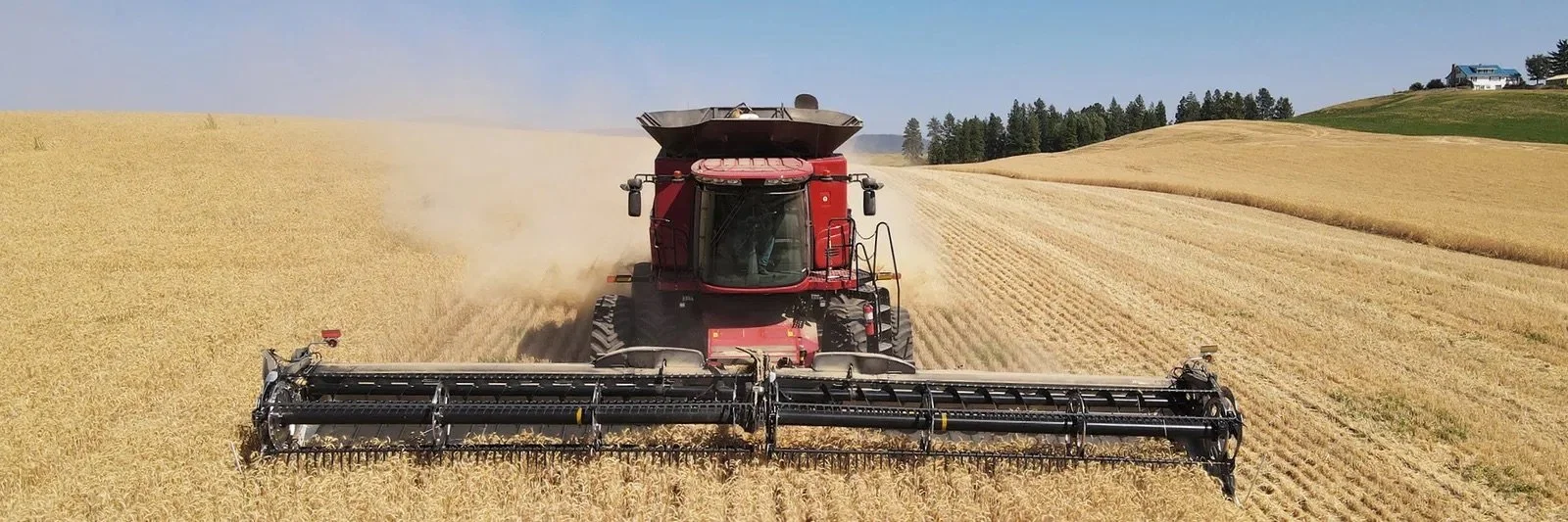 FD241, FD250, FD245 SERIES FLEXDRAPER