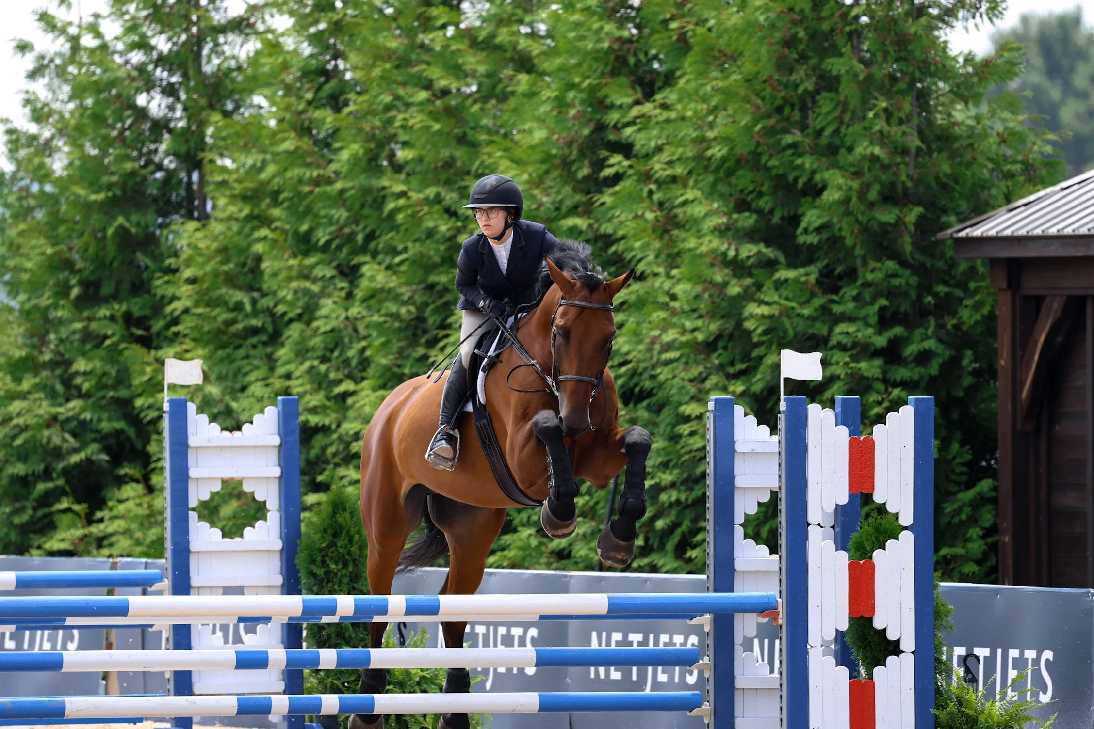 Great Lakes Equestrian Festival III