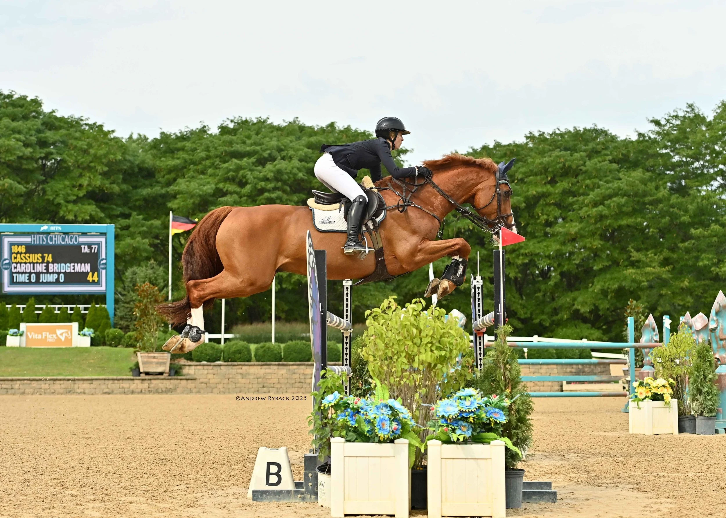 HITS Lamplight Fall Classic I