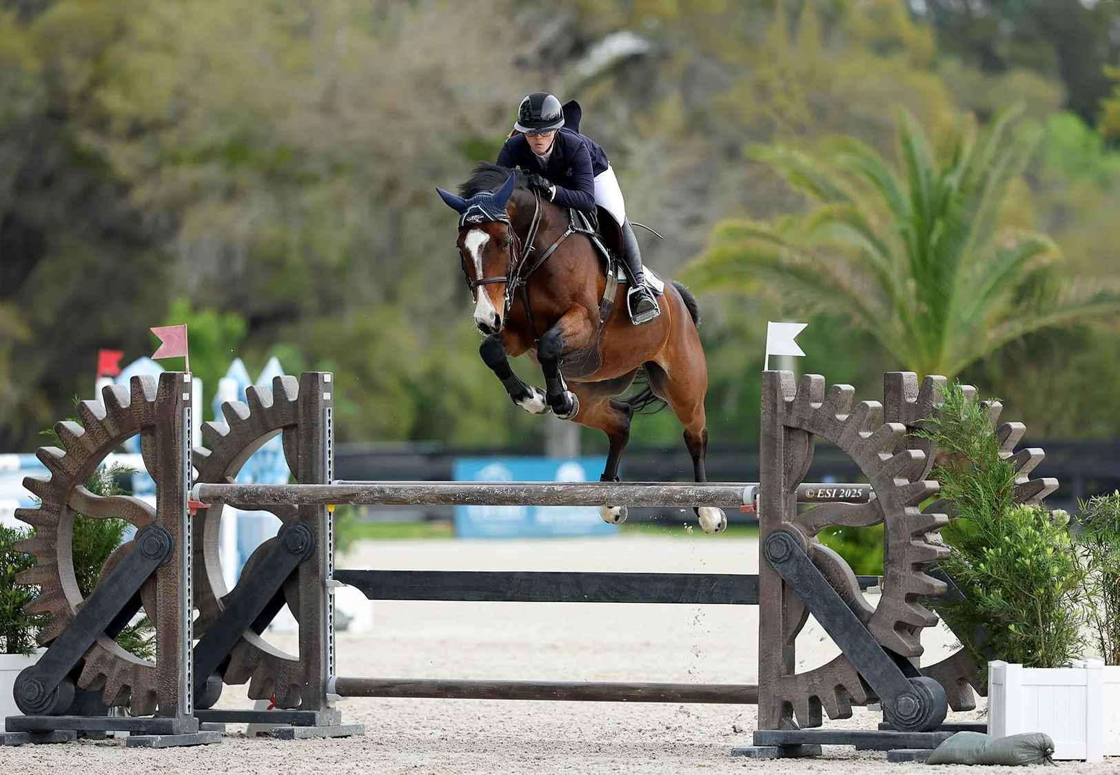 Split Rock Fall Classic CSI3*