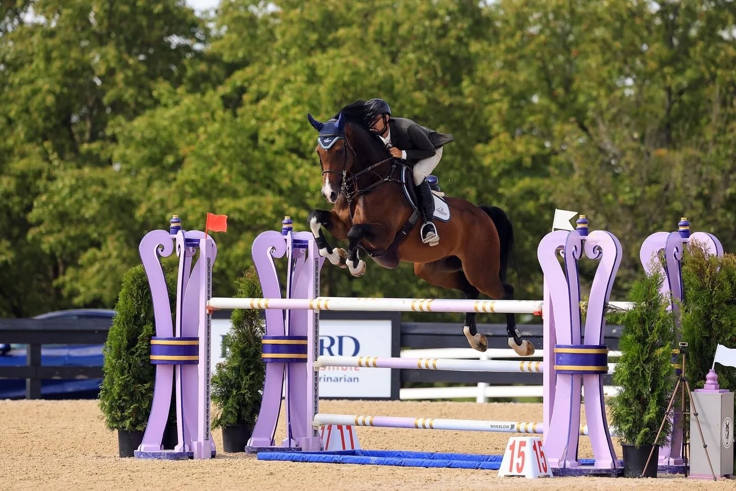 Wec spring ii csi 2*