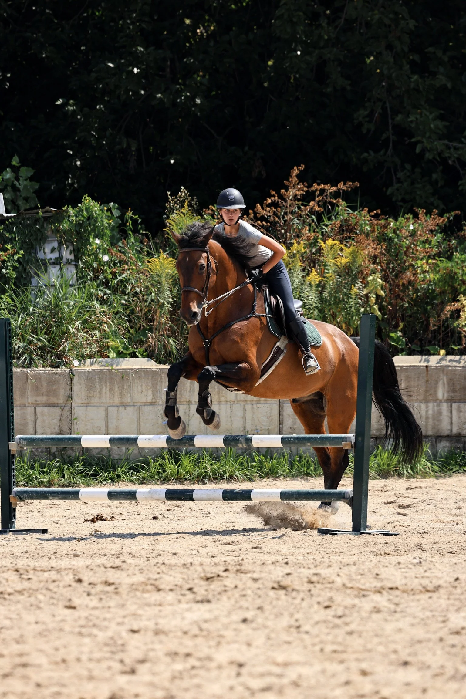 Training Show