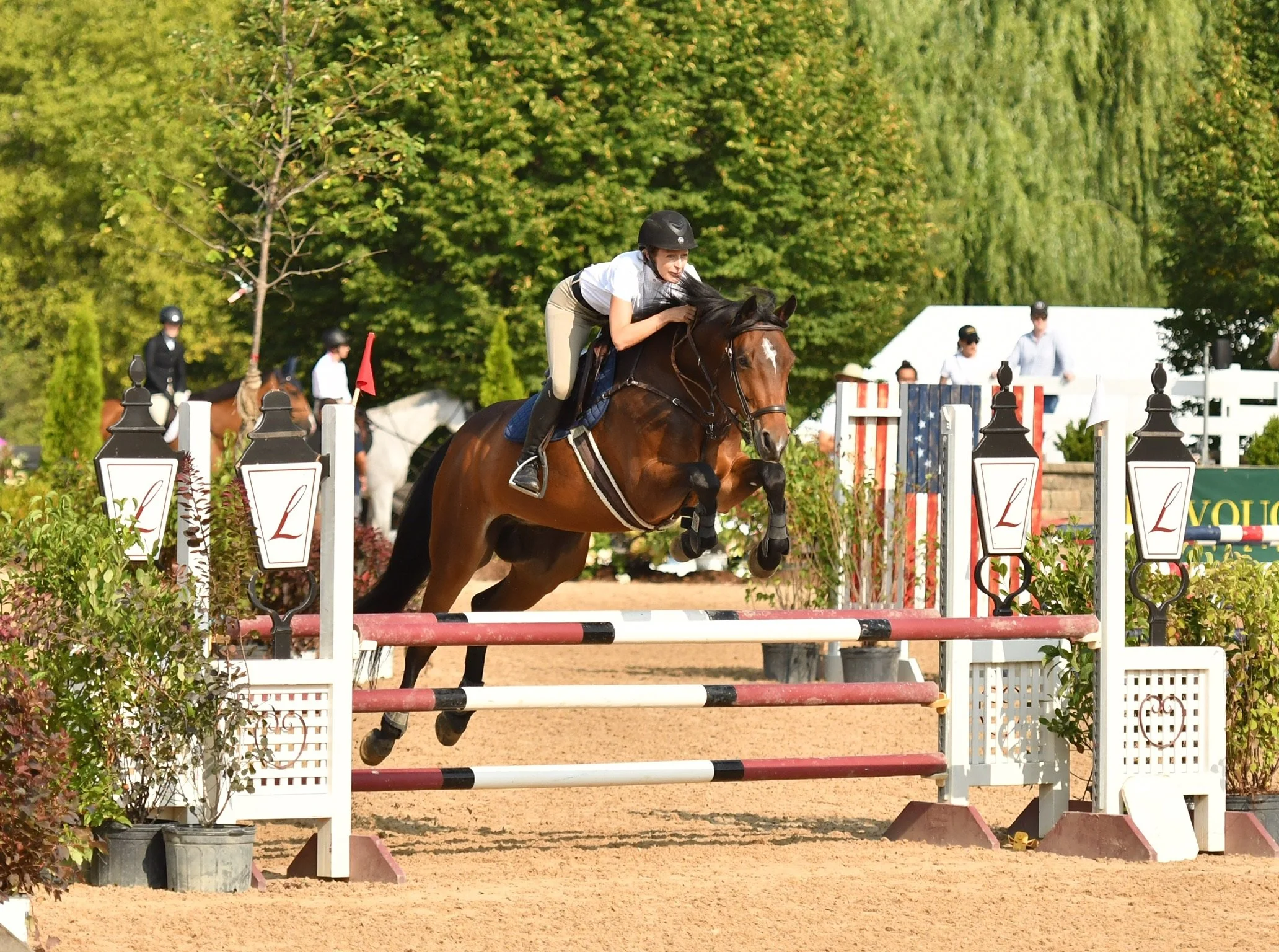 Training Show 