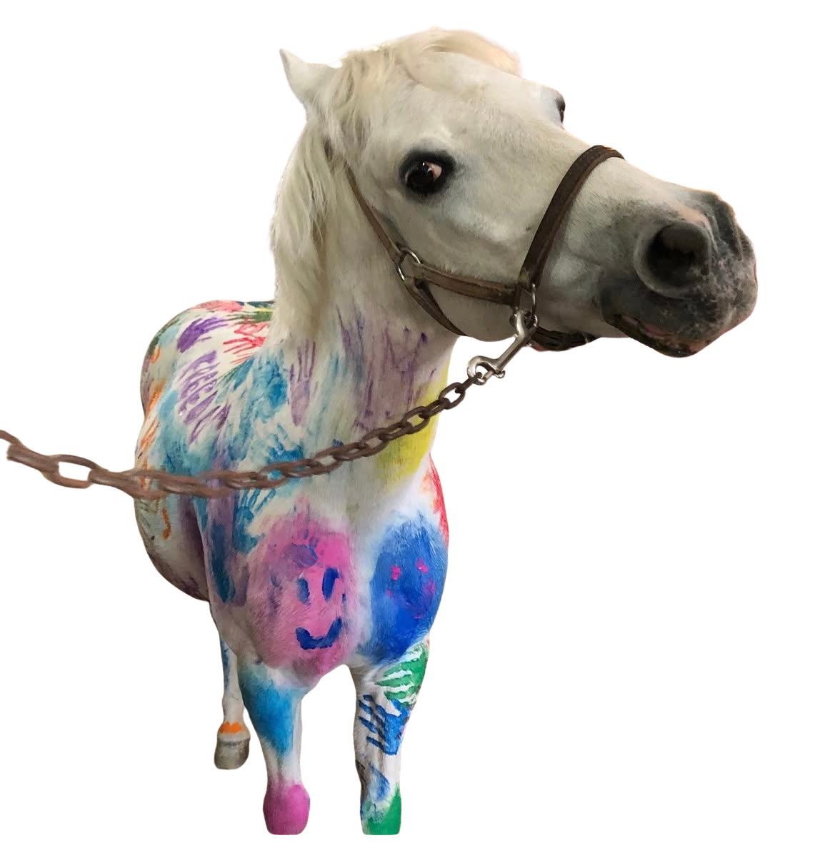 A white horse painted with bright, colorful patterns including smiley faces and abstract shapes on its body, wearing a brown halter and chain lead.
