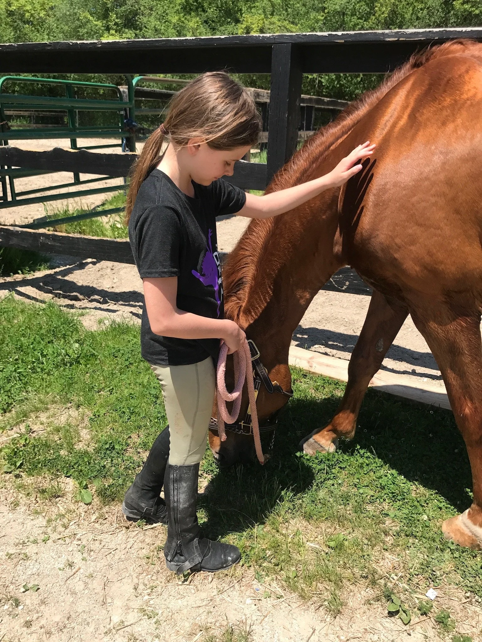 A young girl petting a brown horse near a fenced outdoor area on a sunny day.