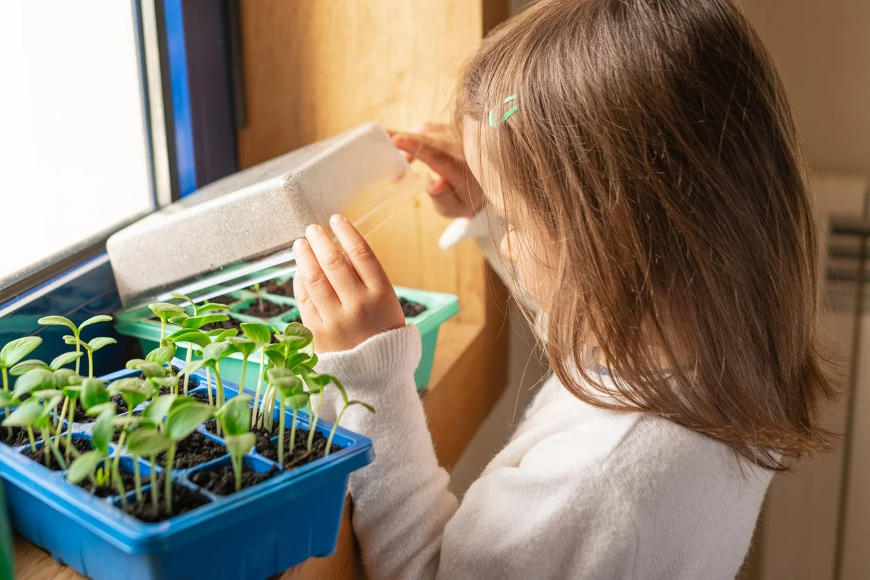 How Inquiry-Based Learning Supports Children in Childcare