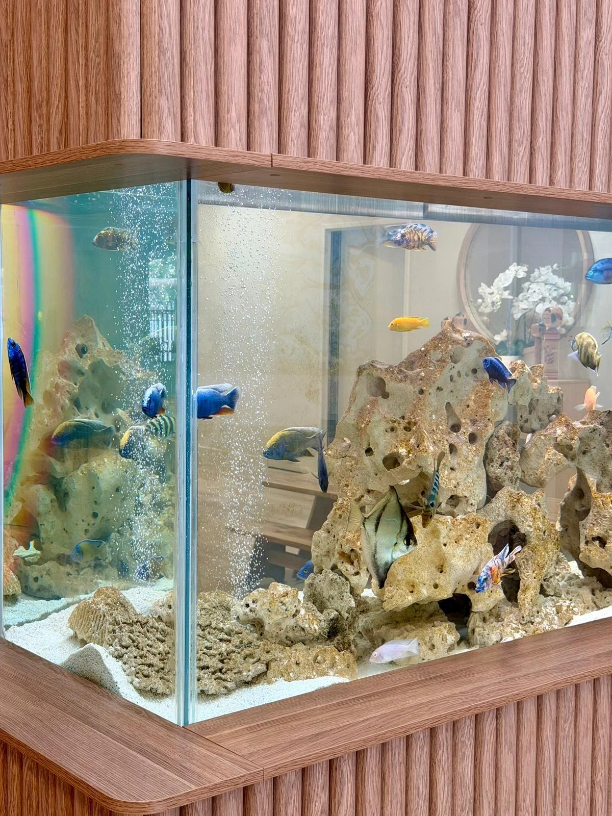 Childcare in Gungahlin: What Stepping Stones @ Yerrabi Ponds offers local families