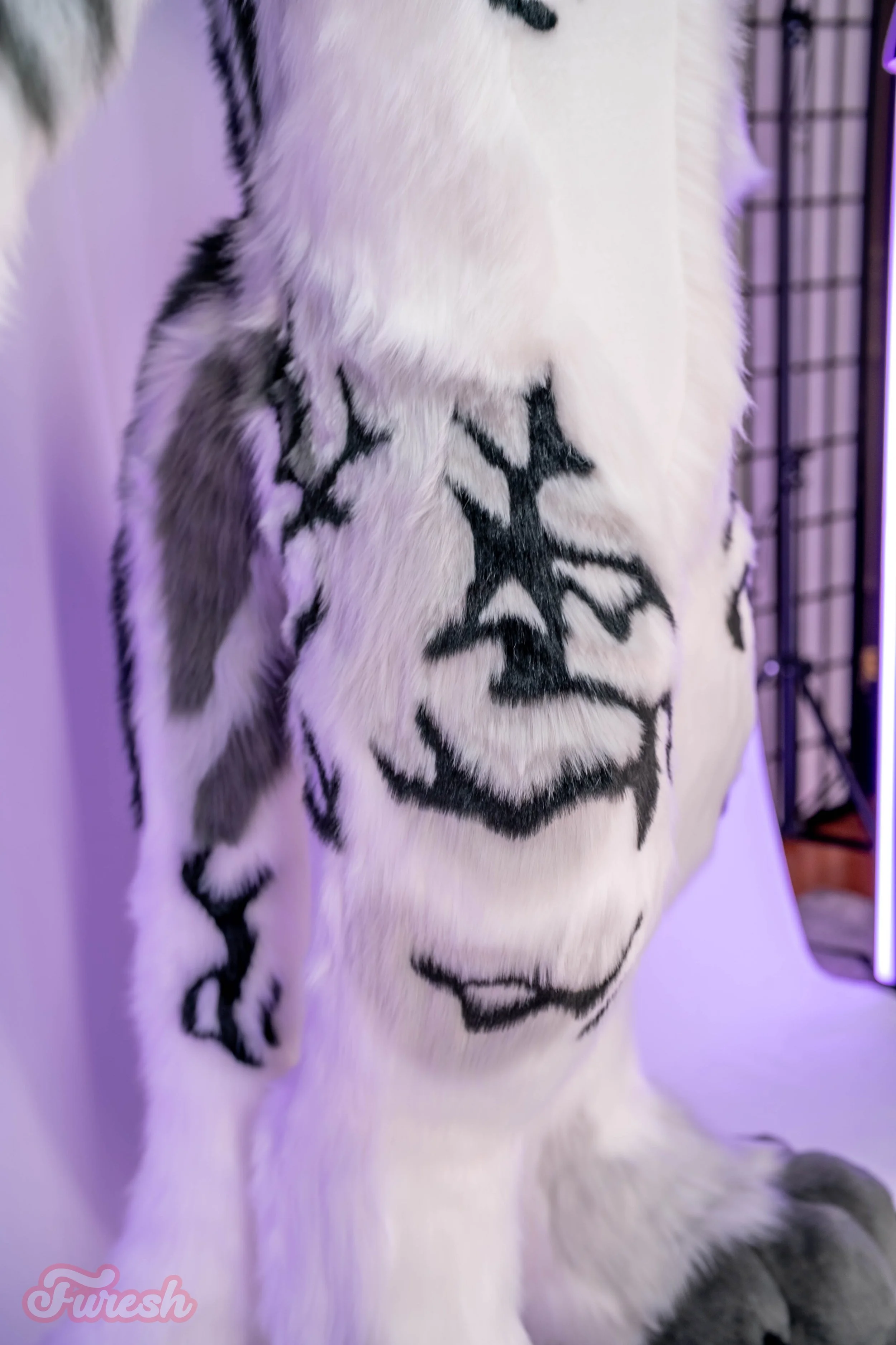 DSC04616.jpg