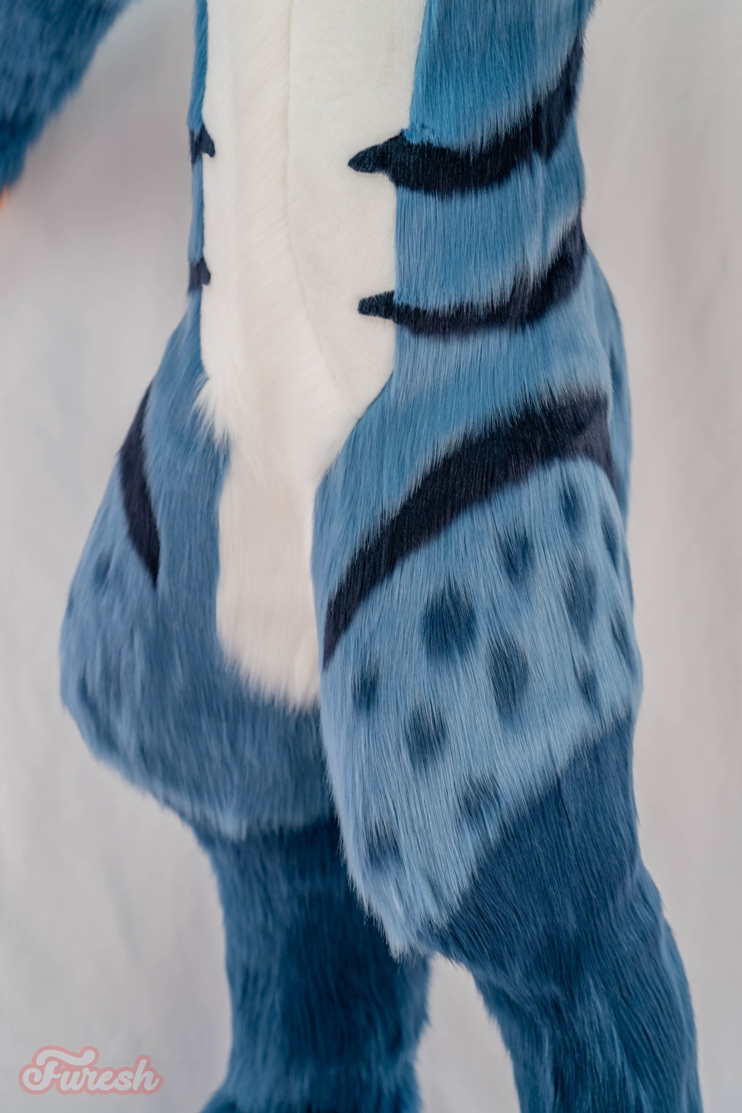 DSC05829.jpg