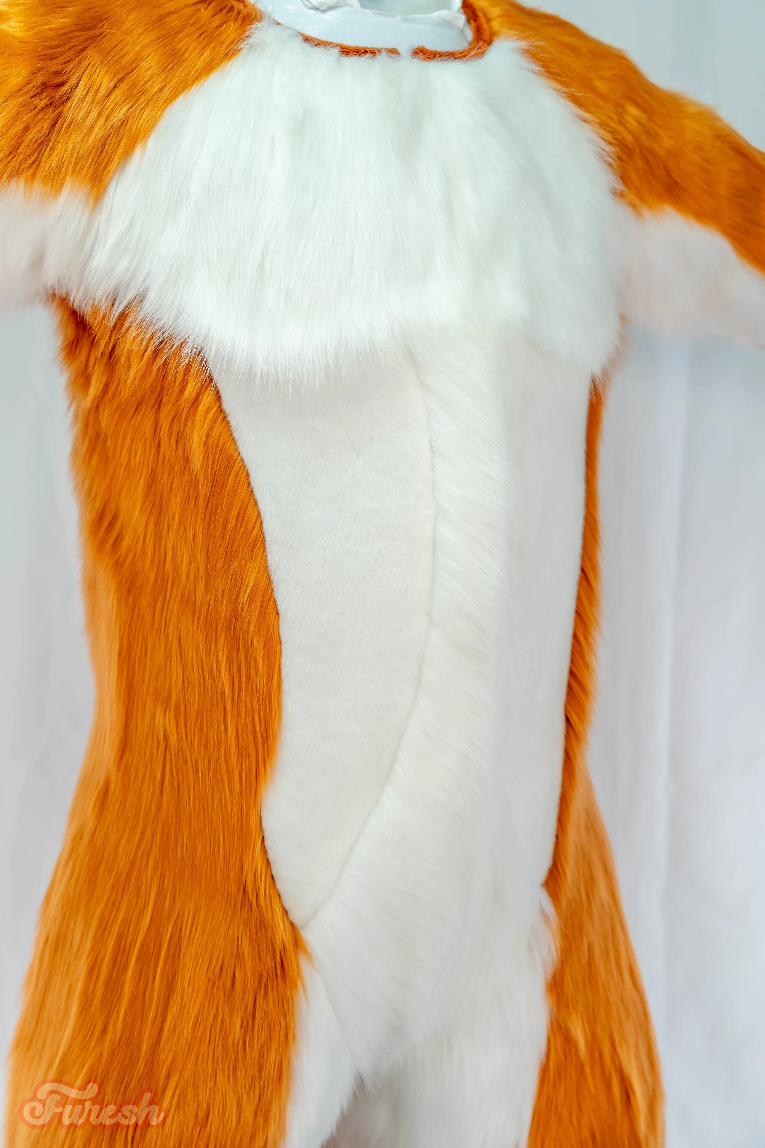 DSC05632.jpg