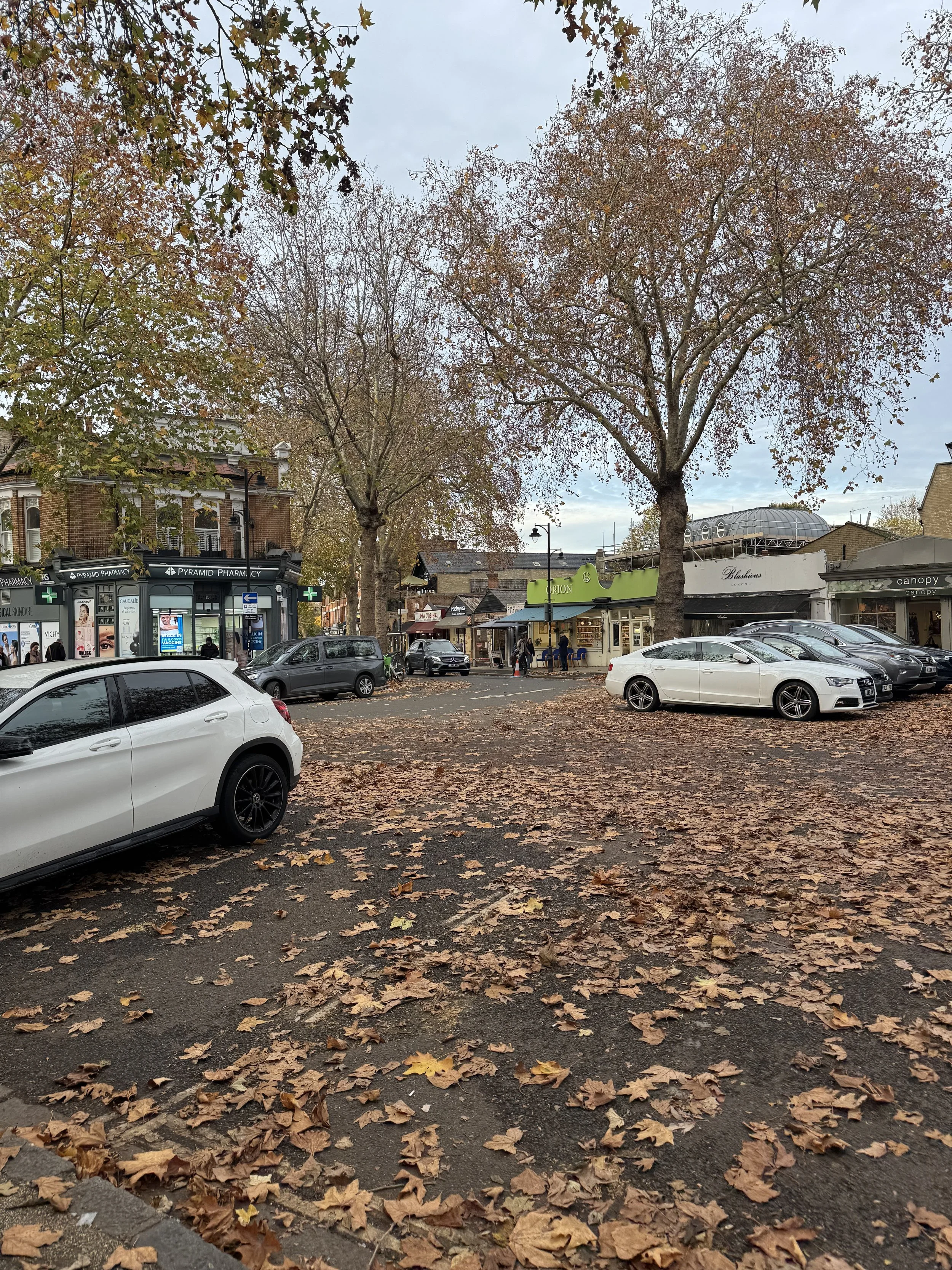 Area by Kew Train Station