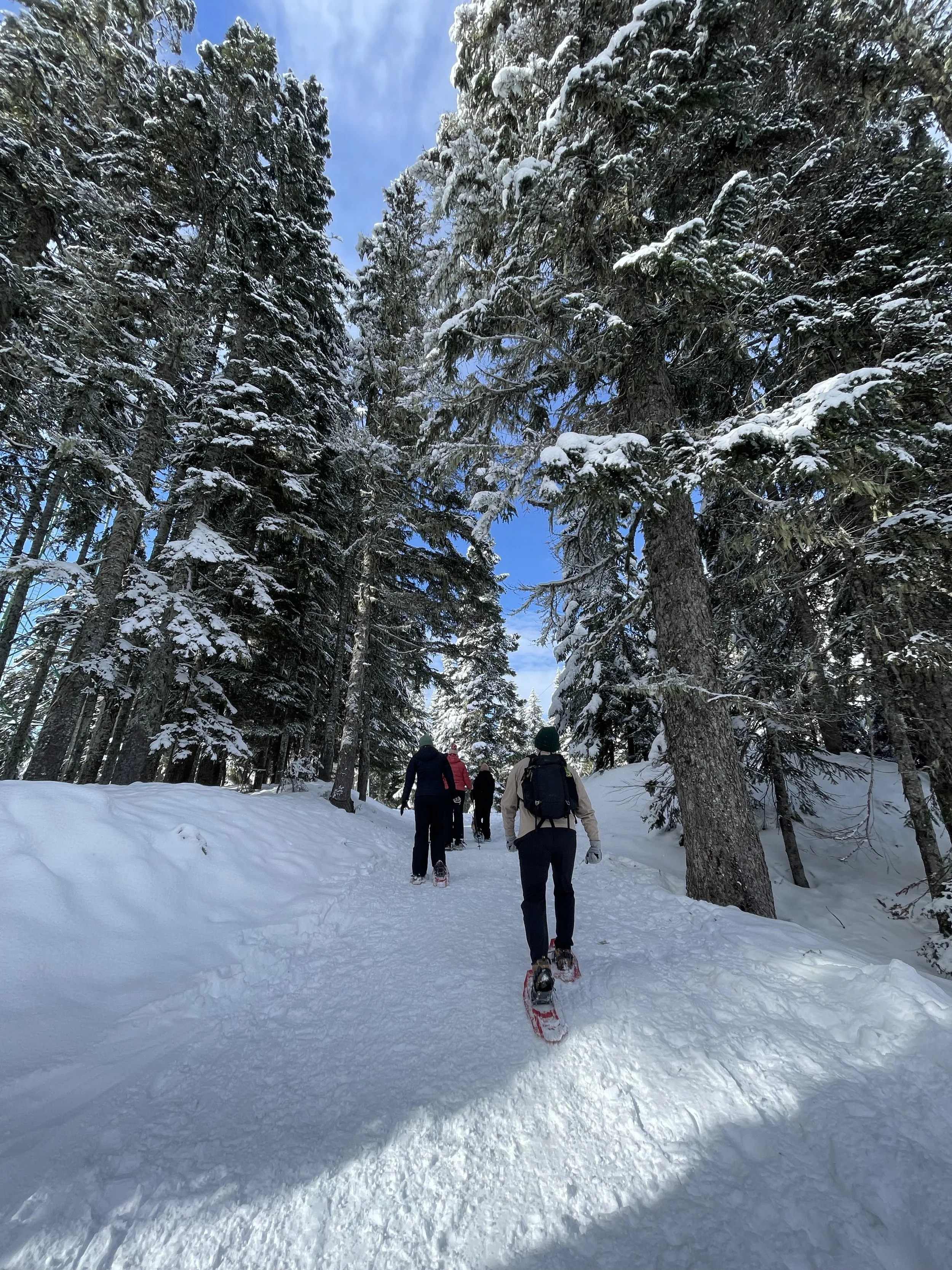  Snowshoeing! 