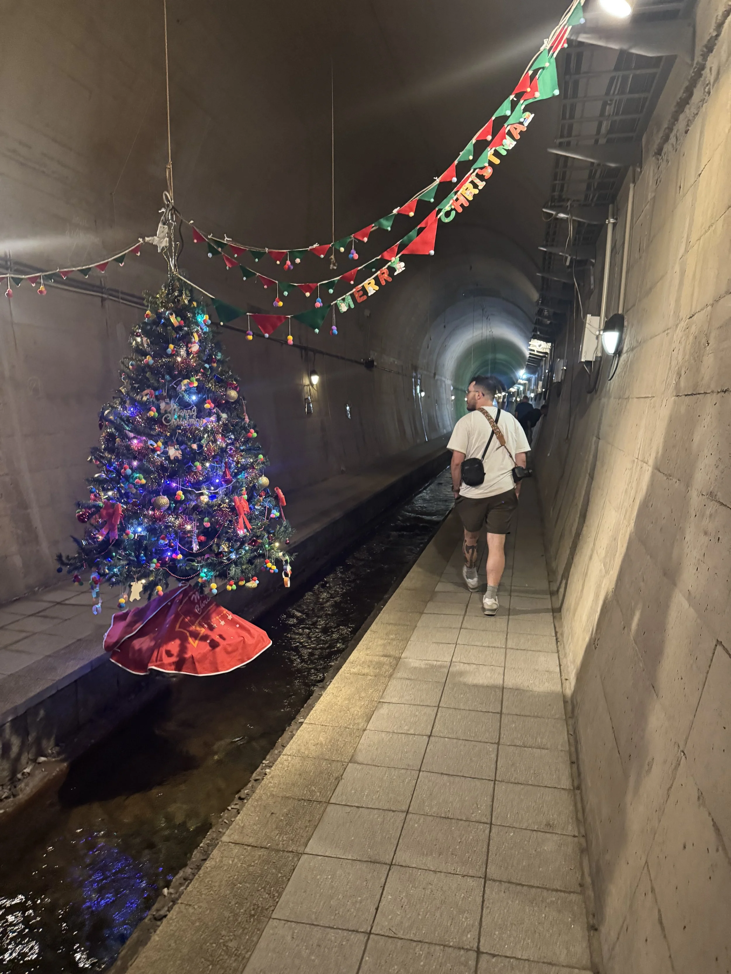 IMG_8374.jpeg