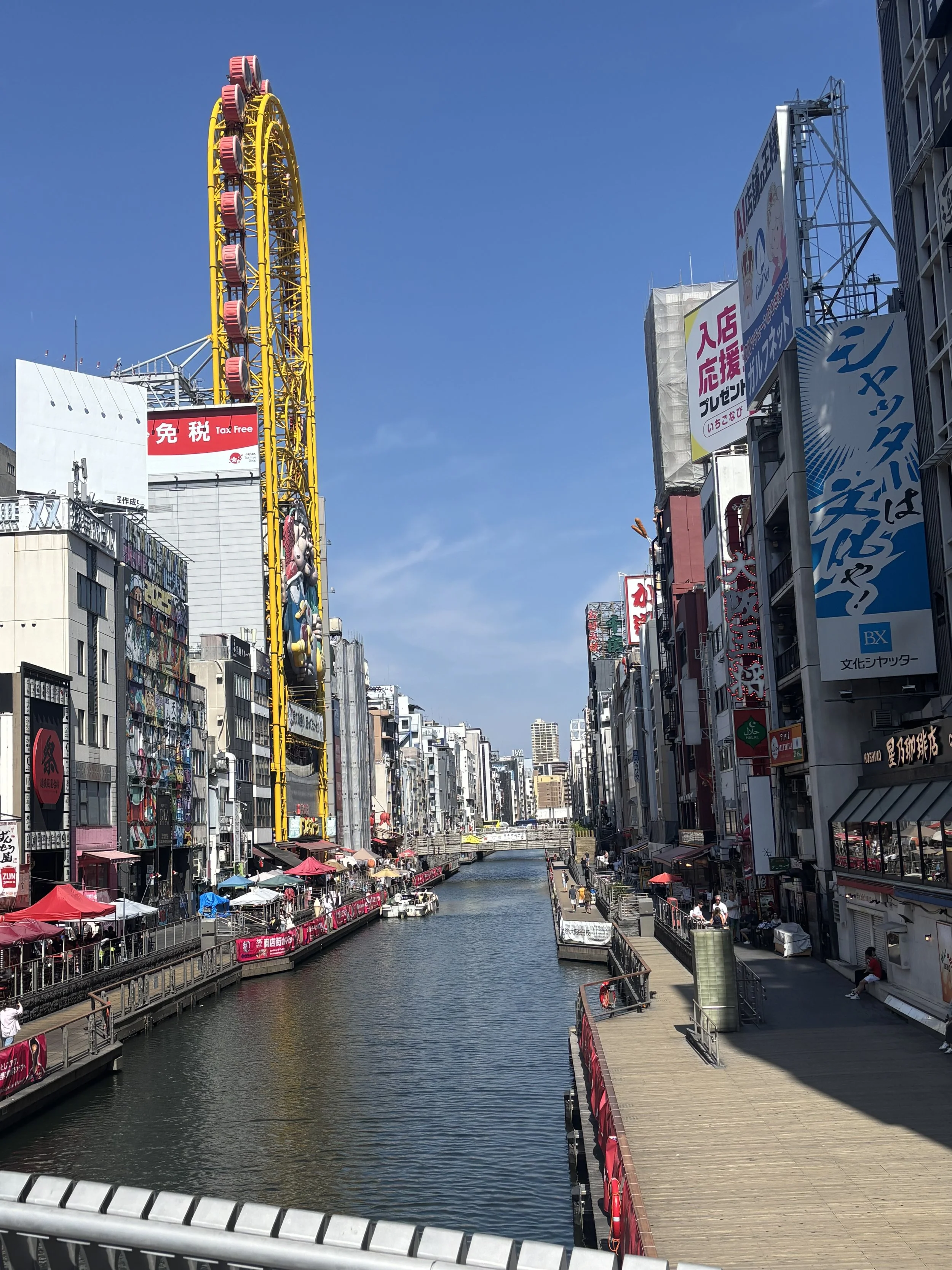 IMG_4366.jpeg