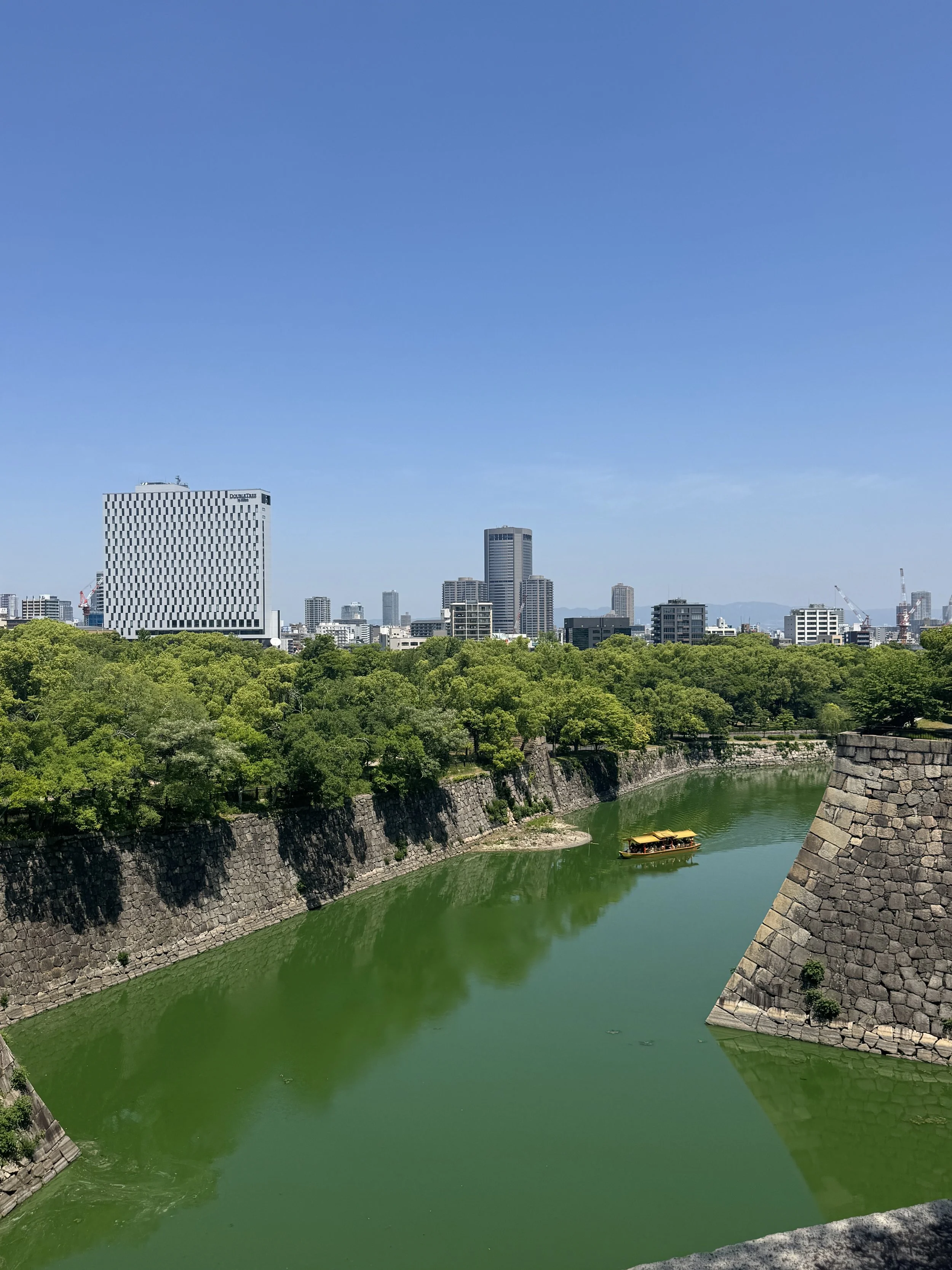 IMG_8498.jpeg