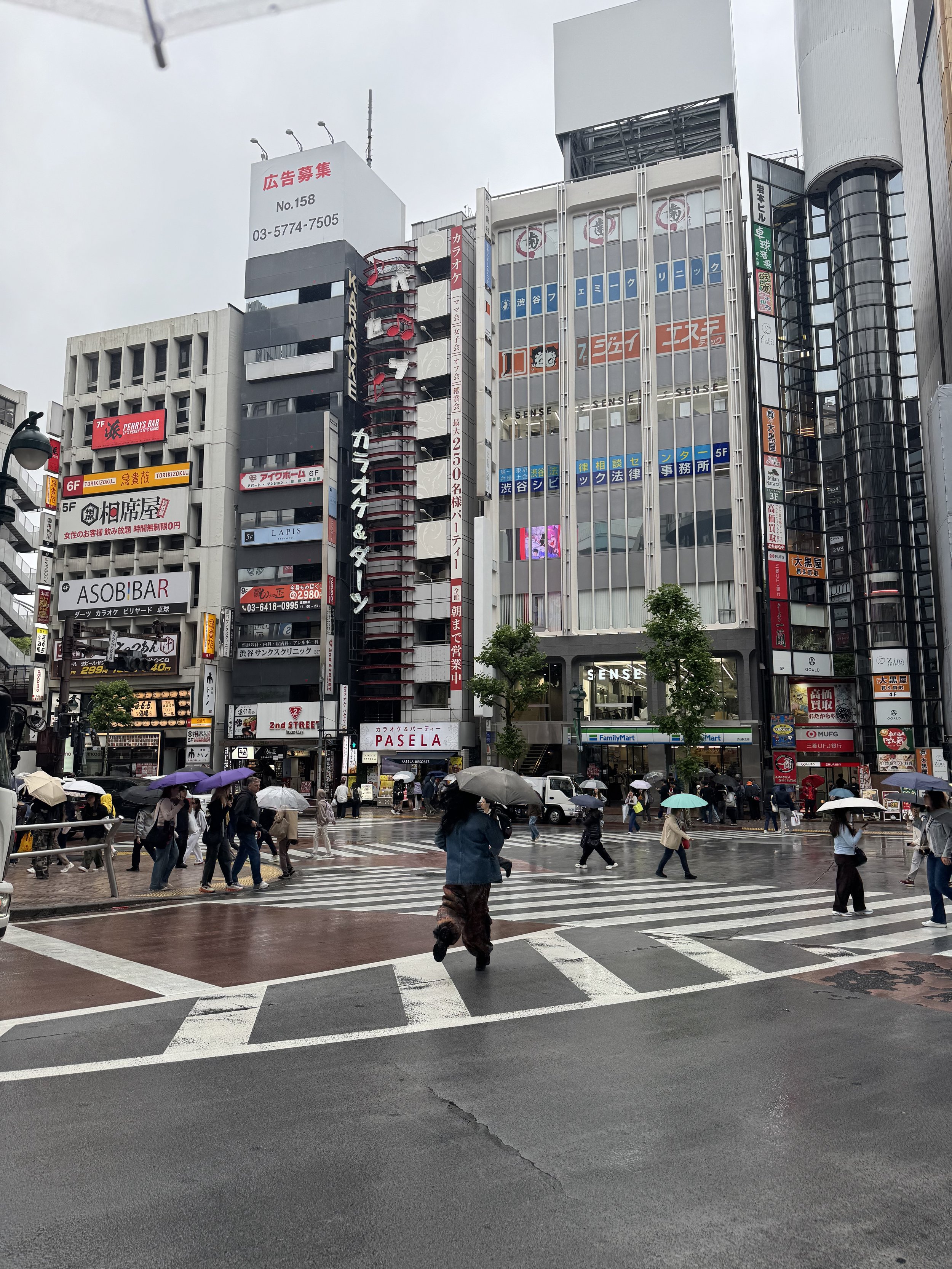 IMG_8678.jpeg