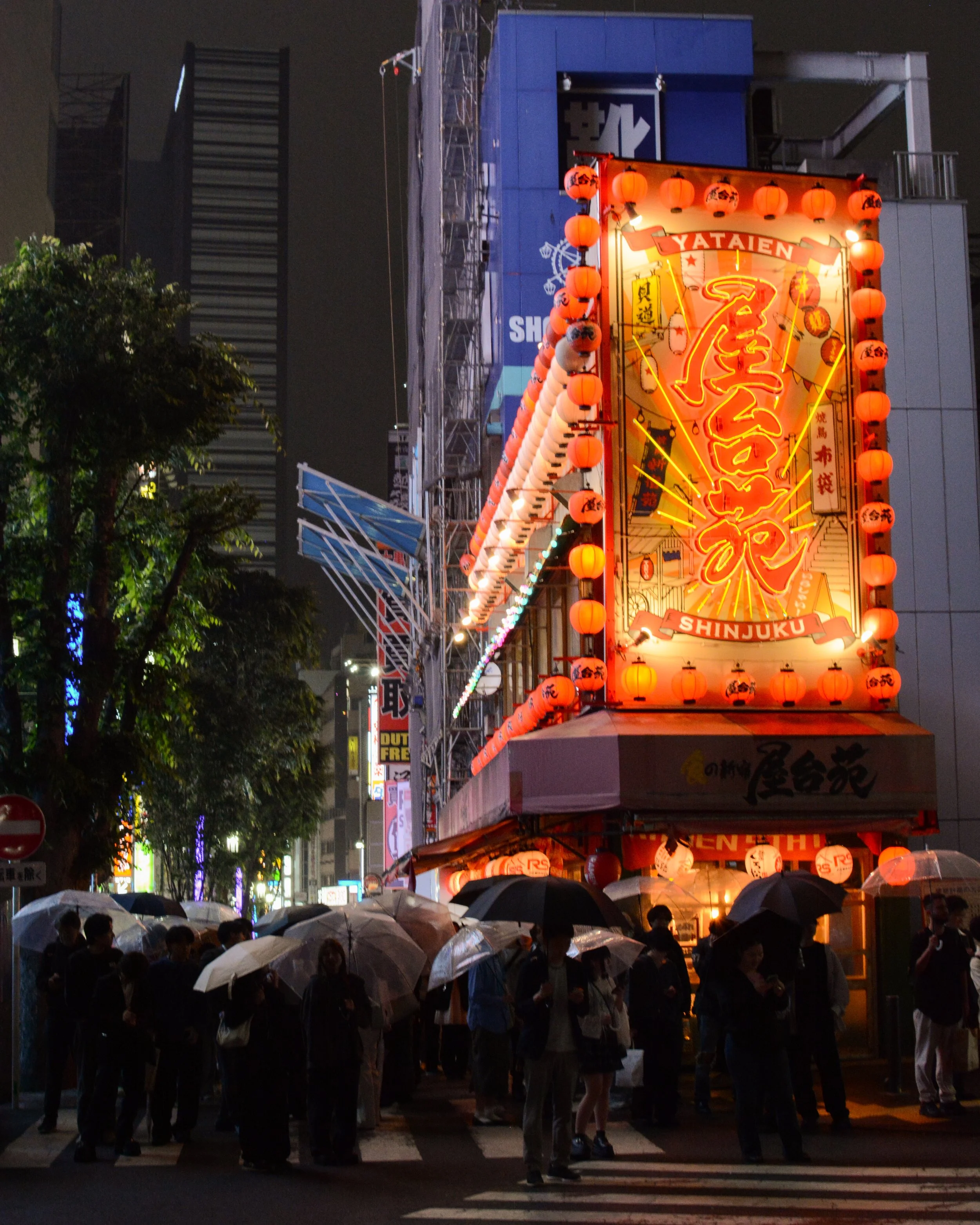 13 days in Japan